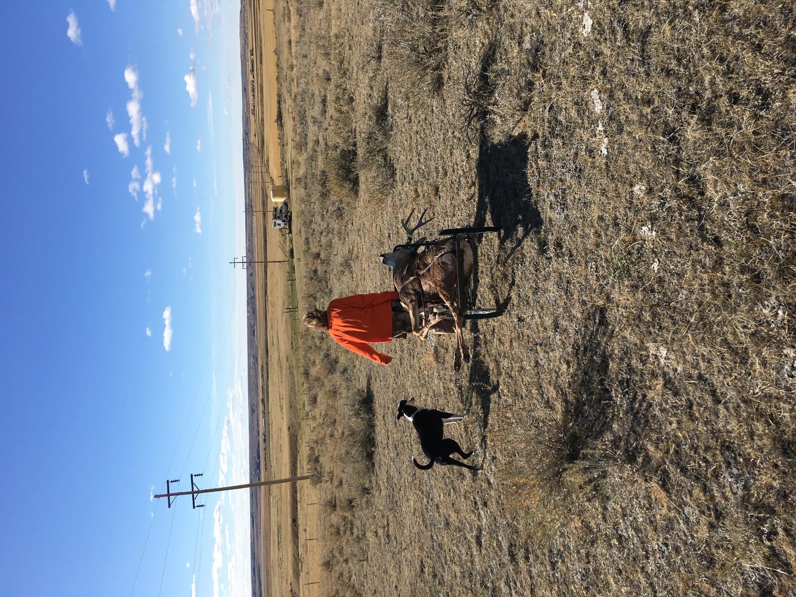 Kill Shot Deer Hunting Game Cart 750 lb Capacity, 20