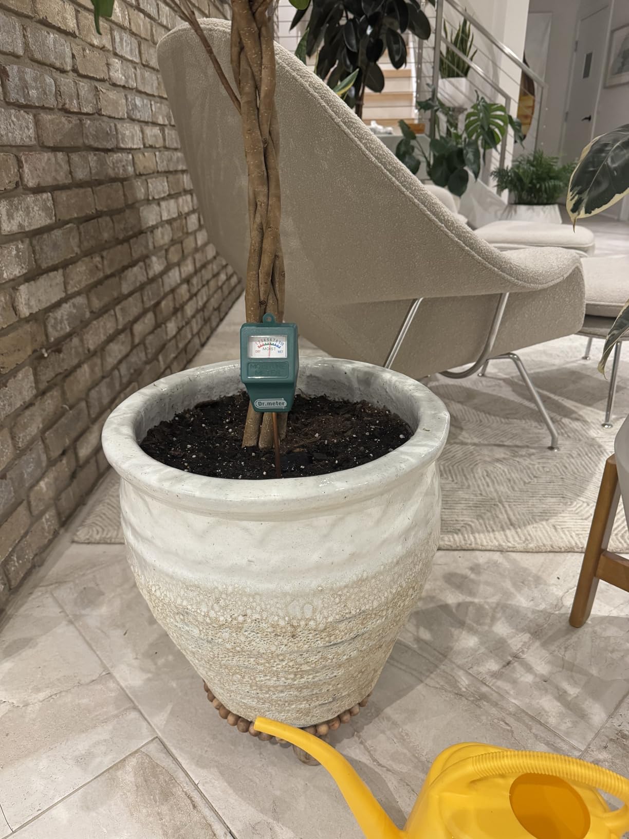 Dr.meter Soil Moisture Meter for Plants, Plant Water Gauge Test Kit | Soil Tester Hygrometer Sensor for Houseplants Garden Lawn Farm,Greenhouse, Gardening Gifts, No Battery Needed customer photo 1