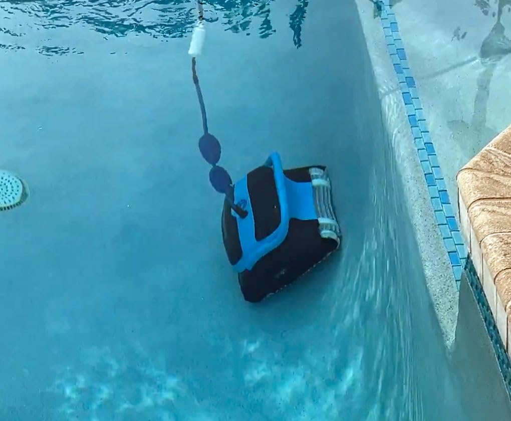 Dolphin Automatic Robotic Pool Vacuum Cleaner, Wall Climbing Scrubber Brush, Smart Navigation, Ideal for In-Ground Pools up to 40FT in Length - Nautilus CC Plus customer photo 1