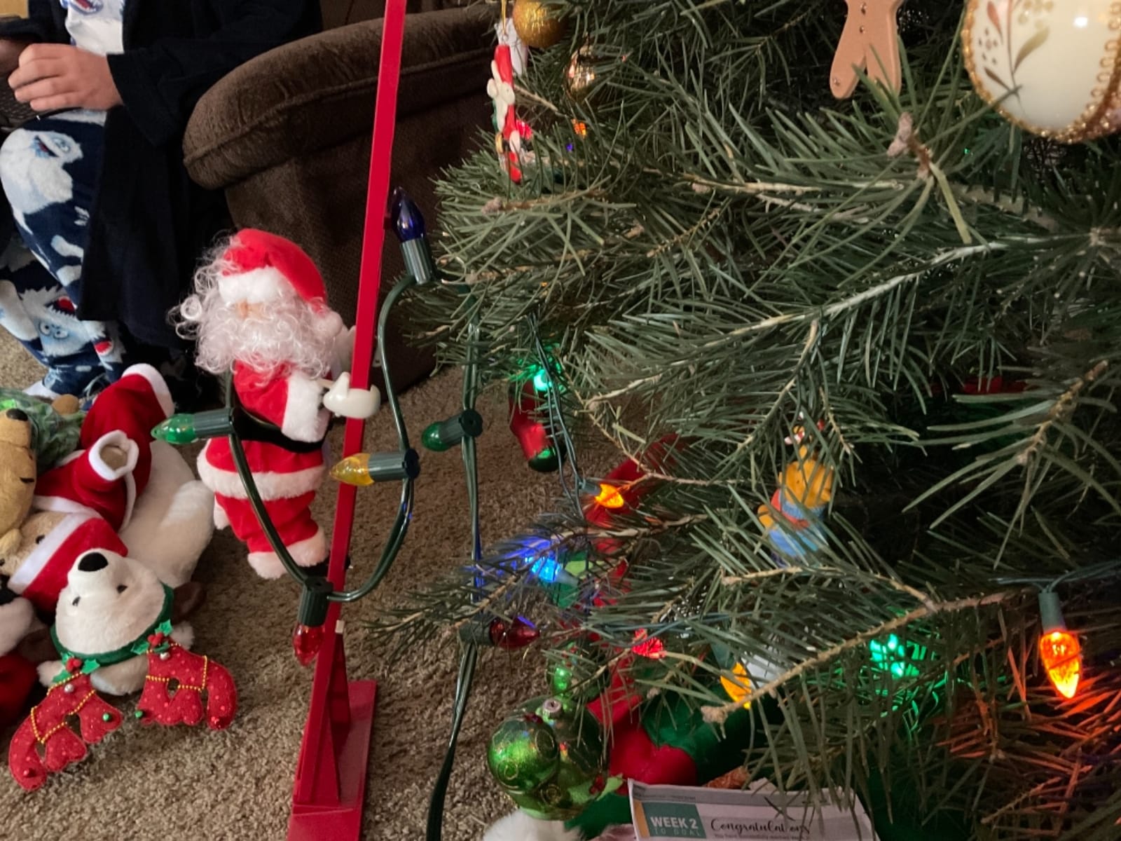 Mr. Christmas Super Climber Musical Animated Christmas Decoration, 42 Inches, Plush White Santa Claus customer photo 2