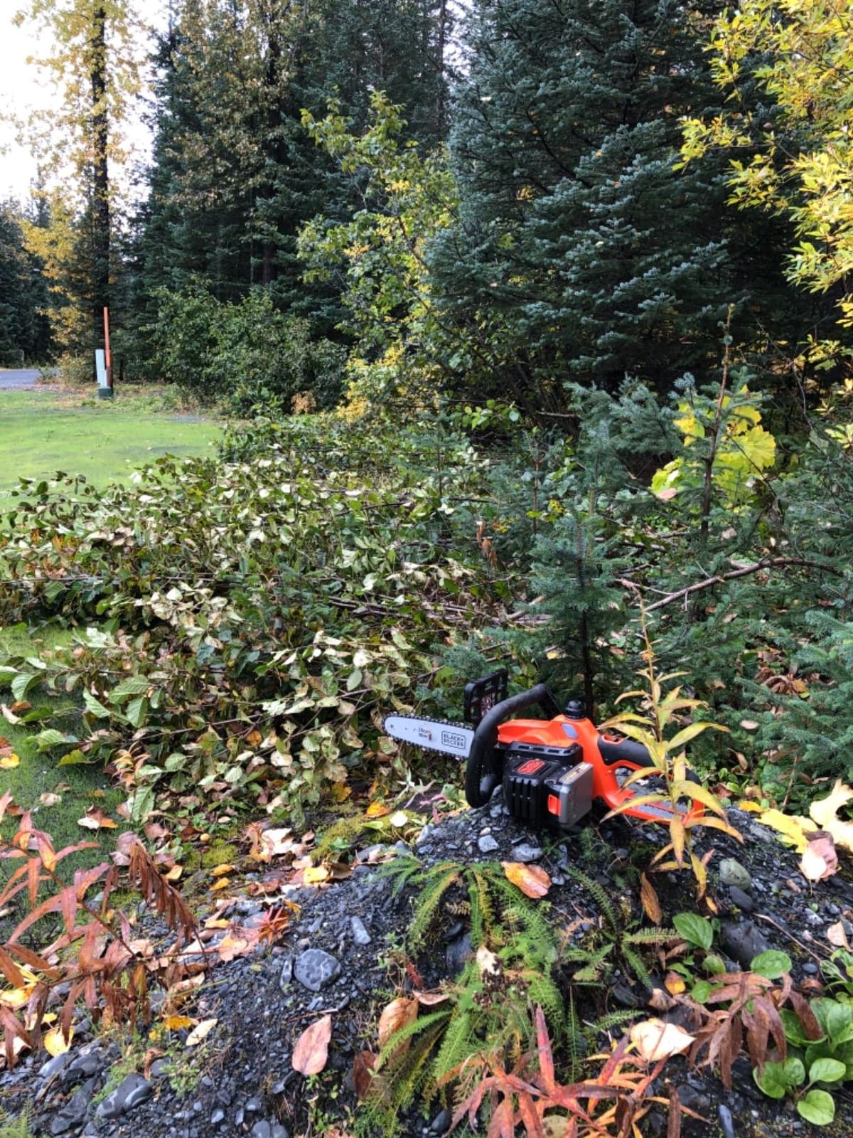 BLACK+DECKER 20V MAX Chain Saw Cordless Chainsaw, 10-Inch Battery Chainsaw, Tool Only, for Wood Cutting and Tree Pruning, Includes Guide Bar Scabbard (LCS1020B) customer photo 1