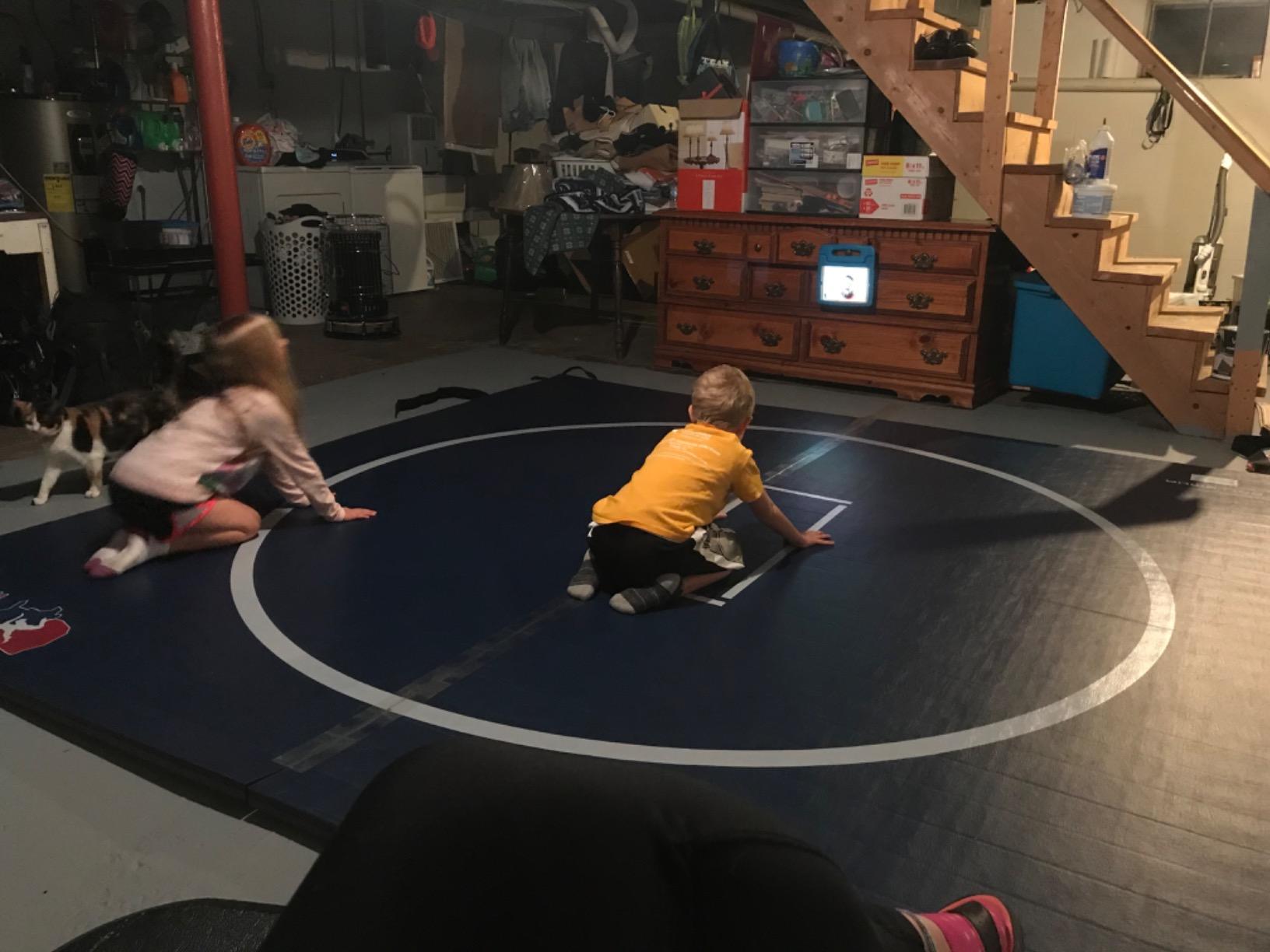Dollamur Wrestling Mat for Home,10'x10', Circle, Start Marks-Made in USA customer photo 1