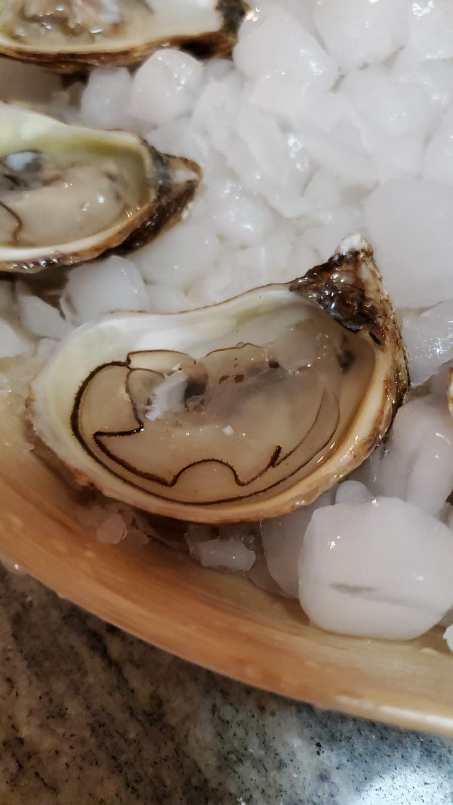 ZYLISS Oyster Tool and Knife Set, Shucker customer photo 1