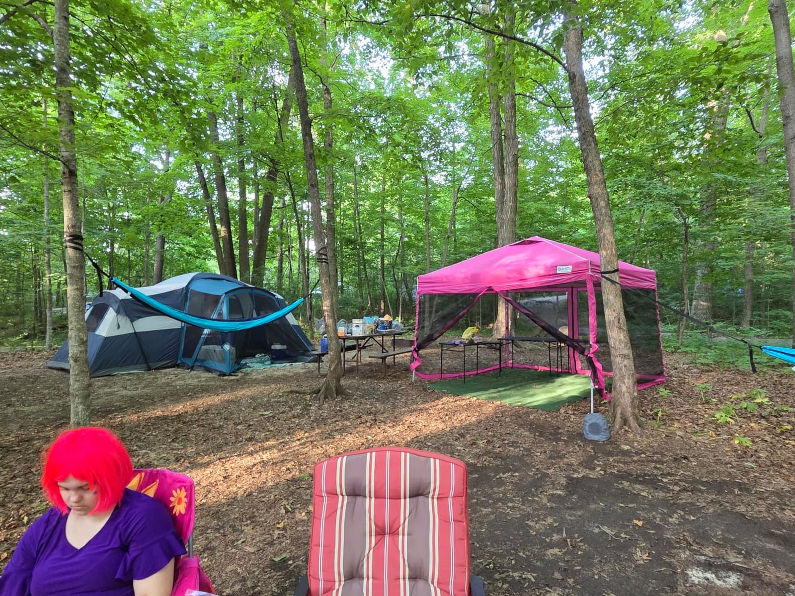 Quictent 8'x8' Pop up Screened Canopy Tent with Mosquito Netting customer photo 2