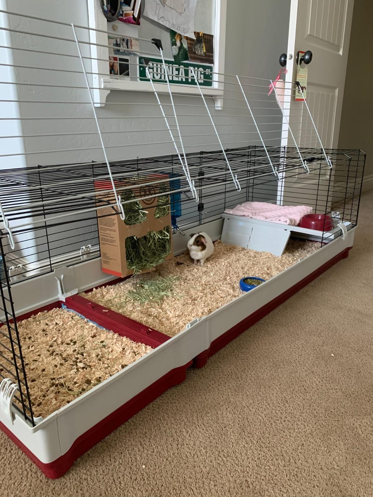 Ferplast Krolik XXL Rabbit Cage w/Wire Extension | Rabbit Cage Includes All Accessories & Measures 63.8L x 23.62W x 19.68H Inches | 1-Year Warranty customer photo 2