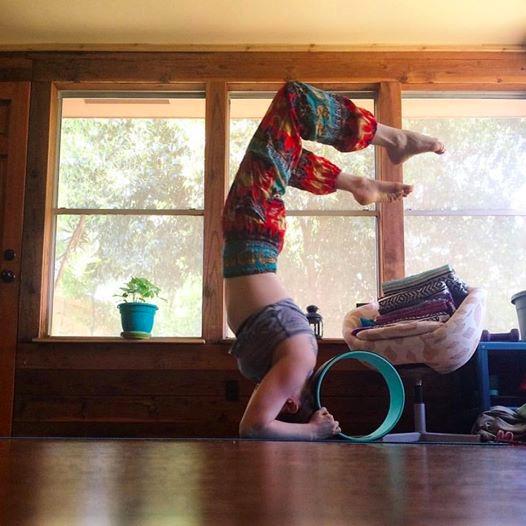 Dharma Yoga Wheel Basic - Spine Roller and Back Ring, Stretches Ligaments, Muscles with Foam Padding for Deeper Poses | Yogic Stretching and Alignment with Circle Design customer photo 2