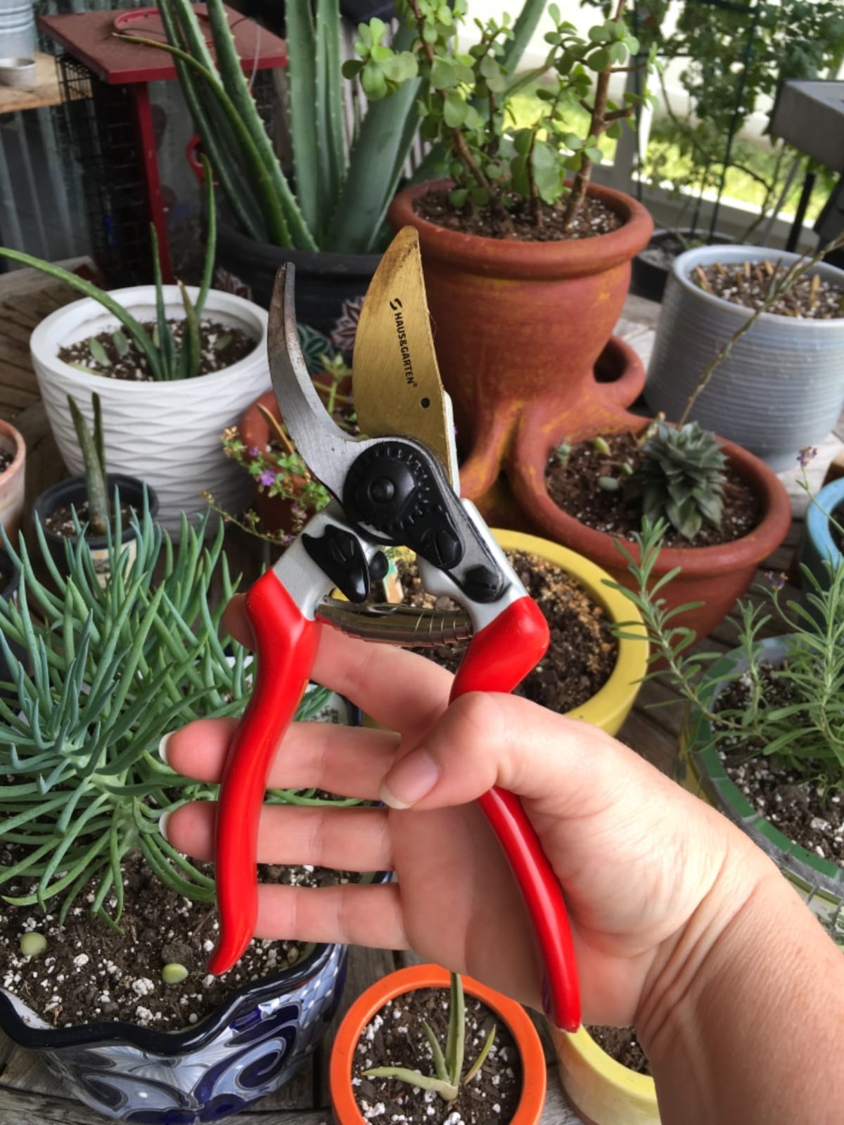 Haus & Garten EnduroPRO Ergonomic Bypass Pruners - Professional Titanium Garden Shears - Heavy Duty Hand Pruning Scissor, Tree Trimmer, Gardening Tool, Branch, Hedge, Rose, Shrub & Bush Clippers customer photo 2