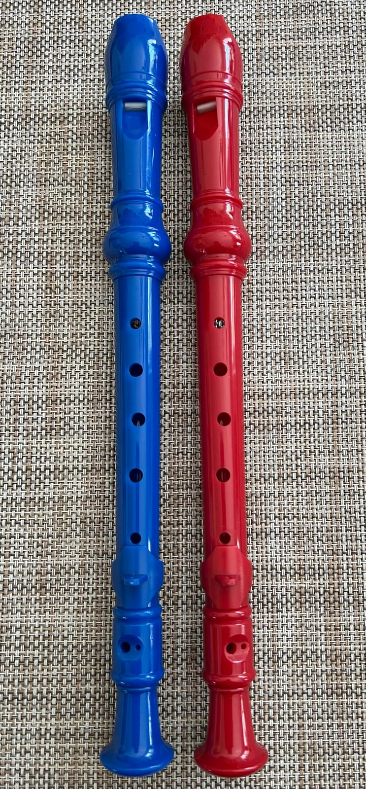 Mr.Power Soprano Recorder German Style C Key 8 Holes Easy Instrument for Beginners School Student Home Entertainment (Blue) customer photo 1