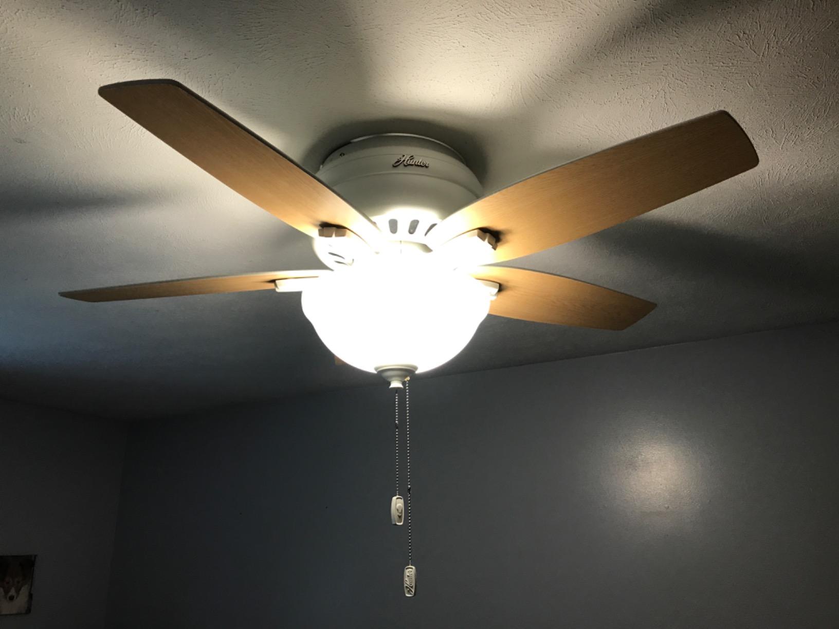 Hunter Newsome, Indoor, Ceiling Fan, with LED Light, 42 inch, Fresh White customer photo 1