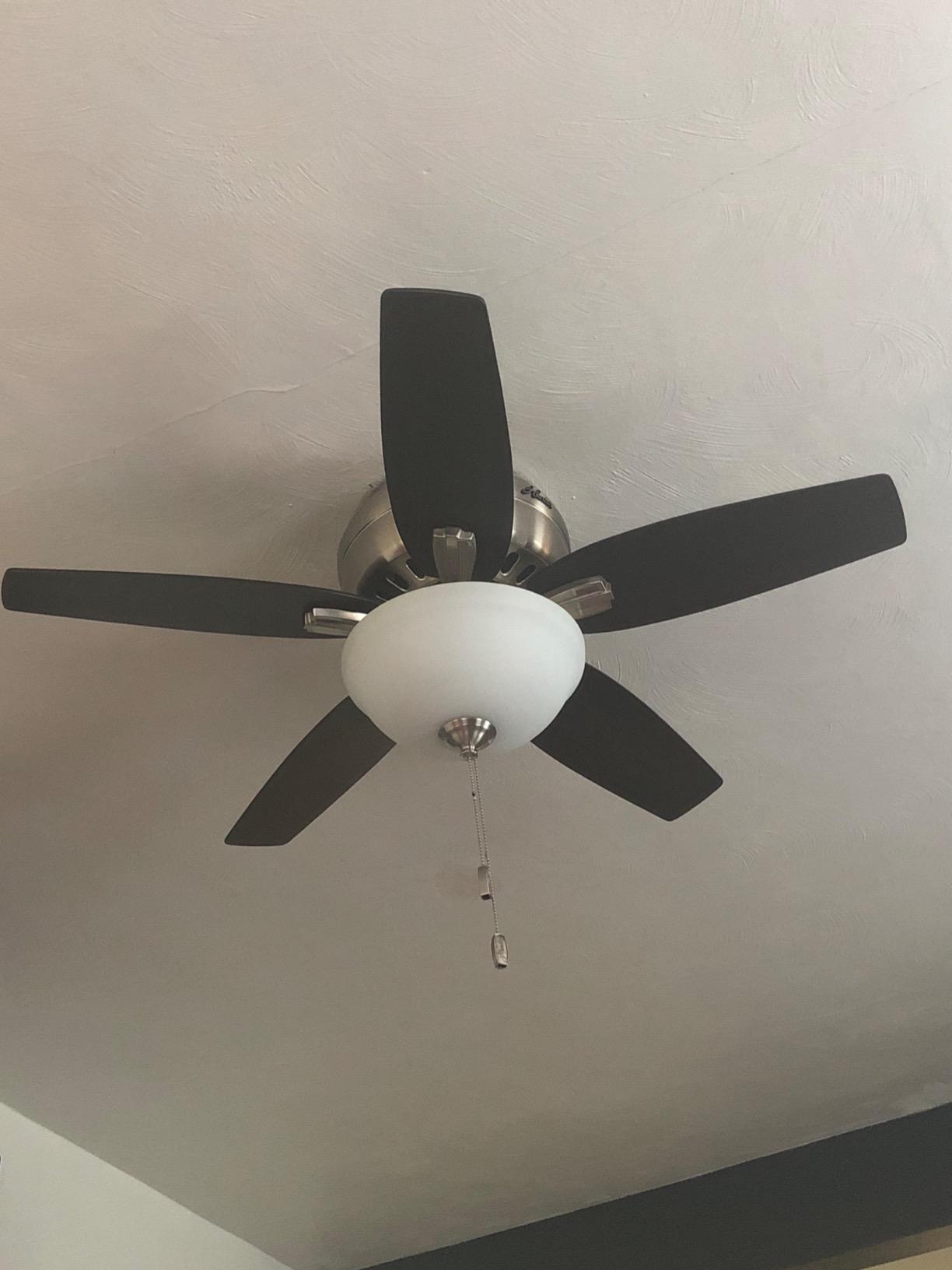 Hunter Newsome, Indoor, Ceiling Fan, with LED Light, 42 inch, Fresh White customer photo 2