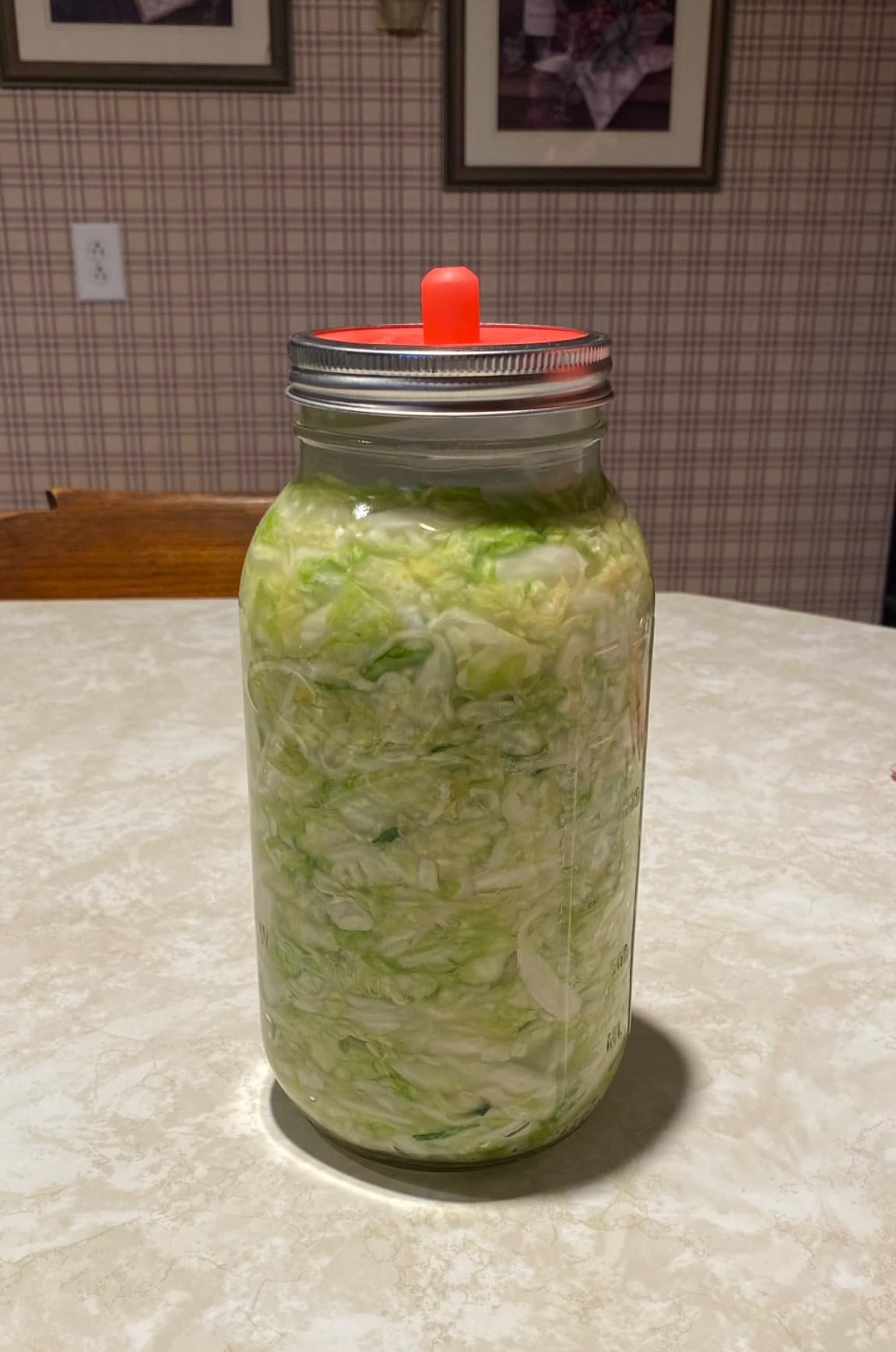 Masontops Complete Mason Jar Fermentation Kit - Pickle Kit, Sauerkraut Making Kit Kimchi Container - Fermentation Airlock Lids Wide Mouth Mason Jars customer photo 2