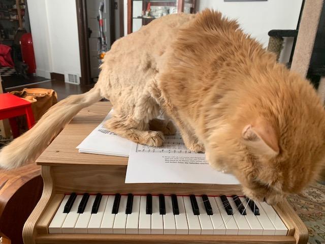 KAWAI Grand Piano Natural customer photo 1