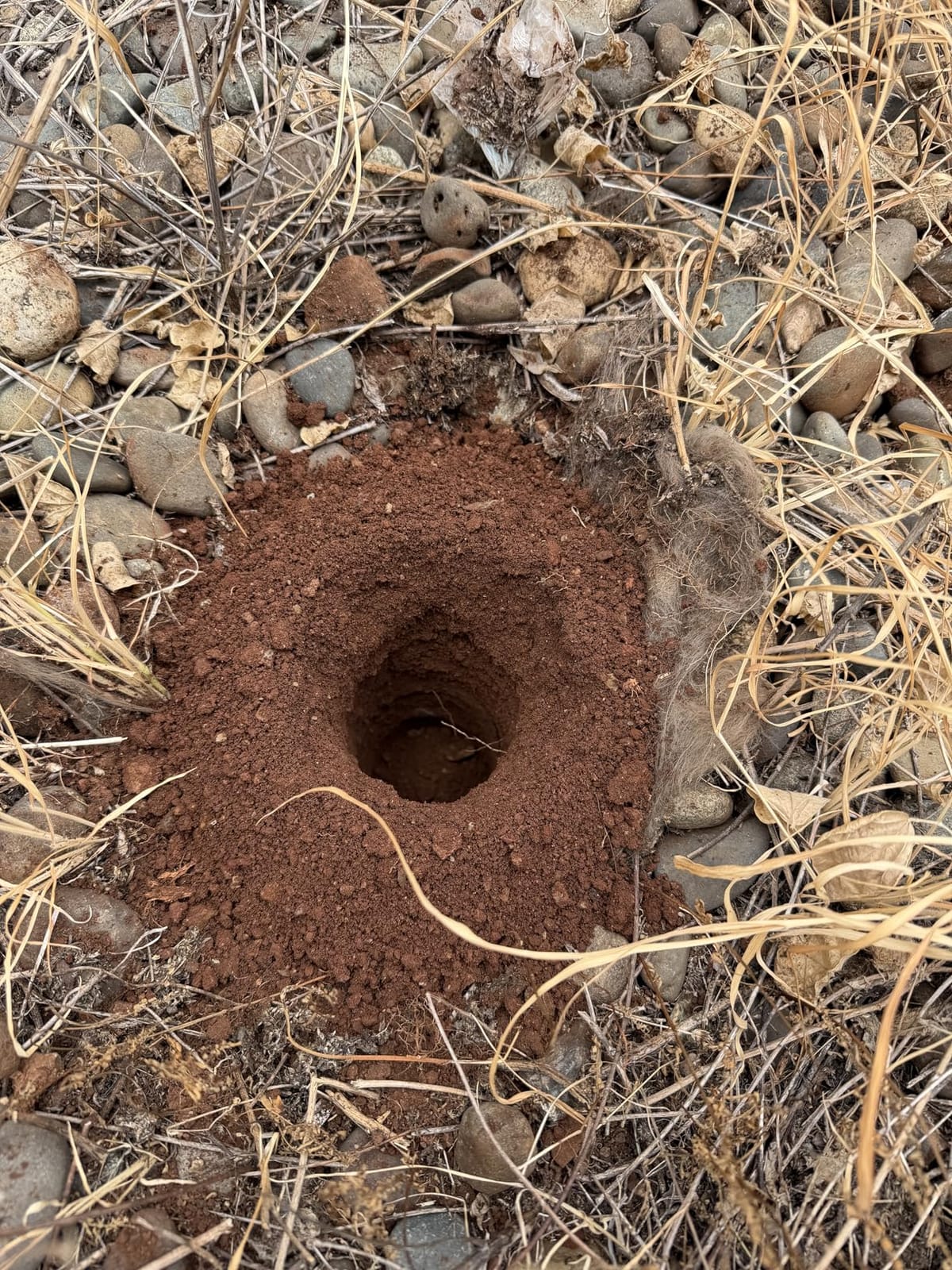 Advance Termite Bait Monitoring Stations(TBS)-Ten Stations 74493 customer photo 1