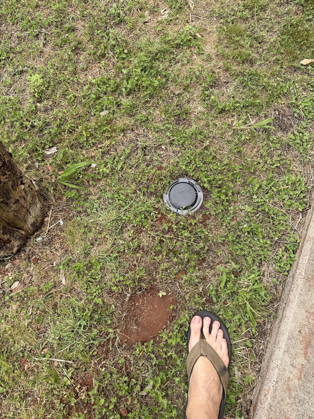 Advance Termite Bait Monitoring Stations(TBS)-Ten Stations 74493 customer photo 2