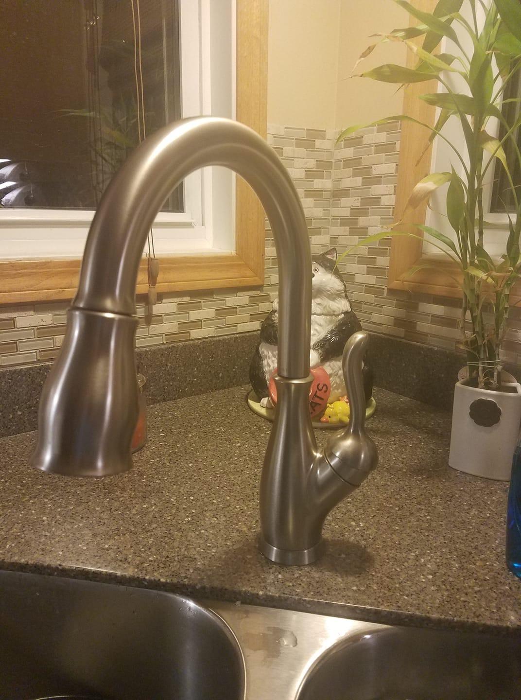 Delta Leland Brushed Nickel Kitchen Faucet with Pull Down Sprayer, Traditional Single Hole Kitchen Sink Faucet, Single Handle, SpotShield Stainless 9178-SP-DST customer photo 2