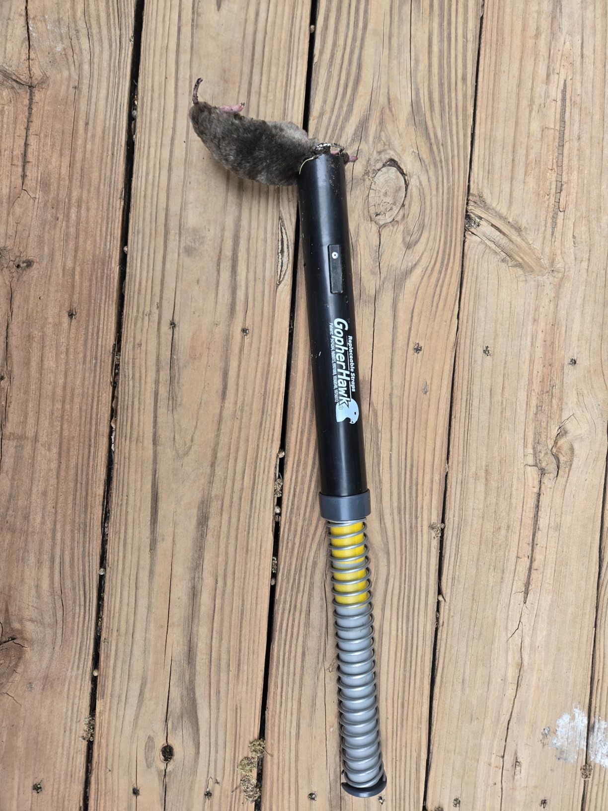 GopherHawk® Single Trap for Gophers and Moles, 1 GH-TRP customer photo 2