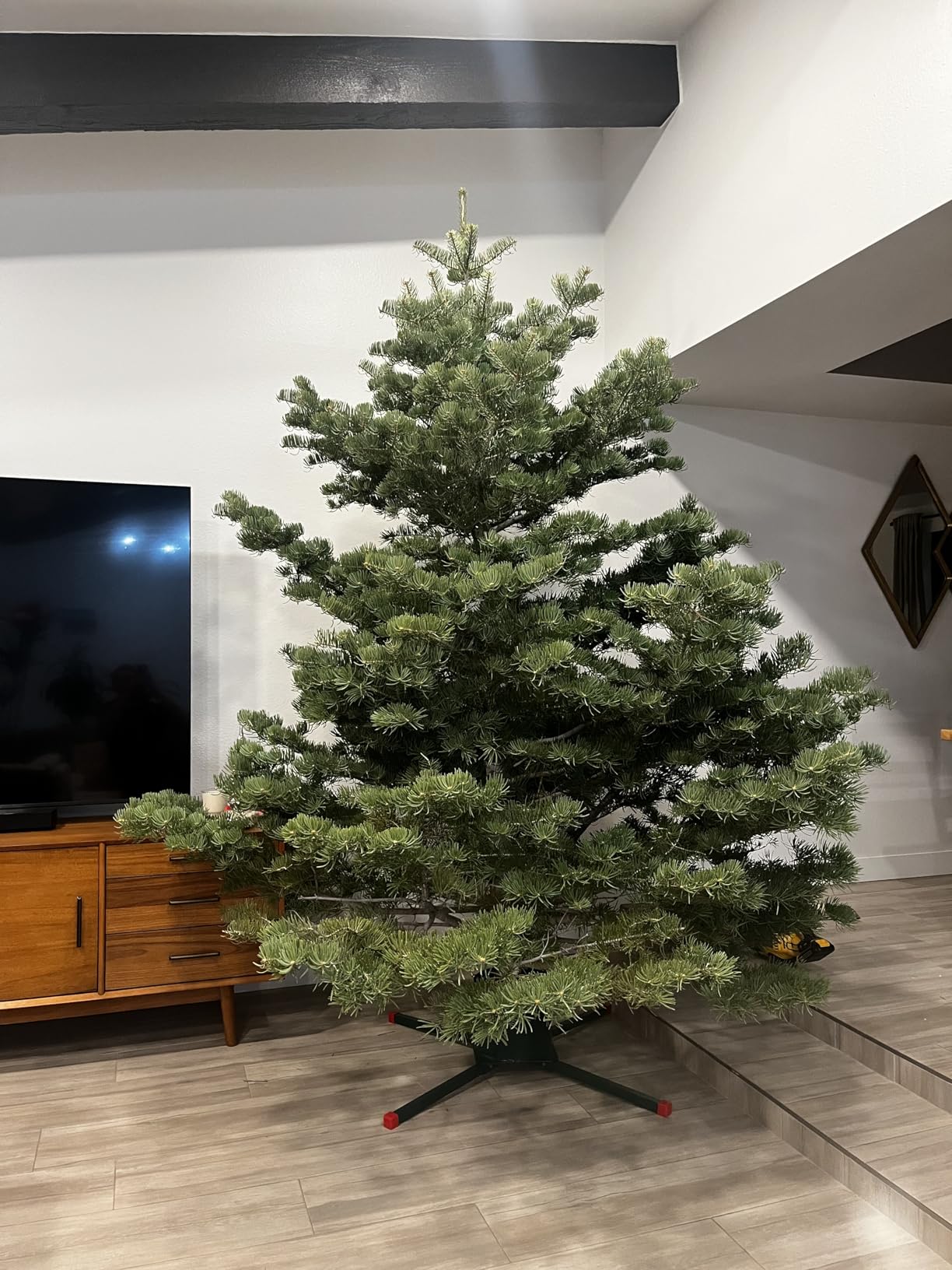 Goliath Welded Steel Christmas Tree Stand for Live Trees 5 to 12 Foot customer photo 1
