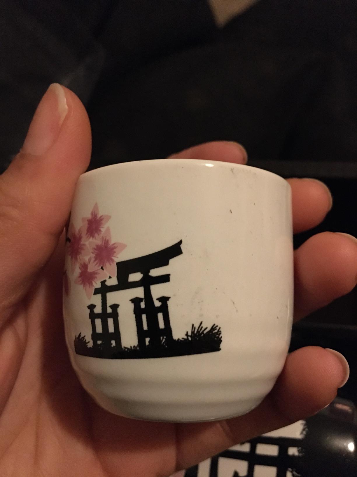 Tosnail 5 Pieces Ceramic Japanese Sake Set, 1 Serving Carafe and 4 Cups - Pink Sakura customer photo 2