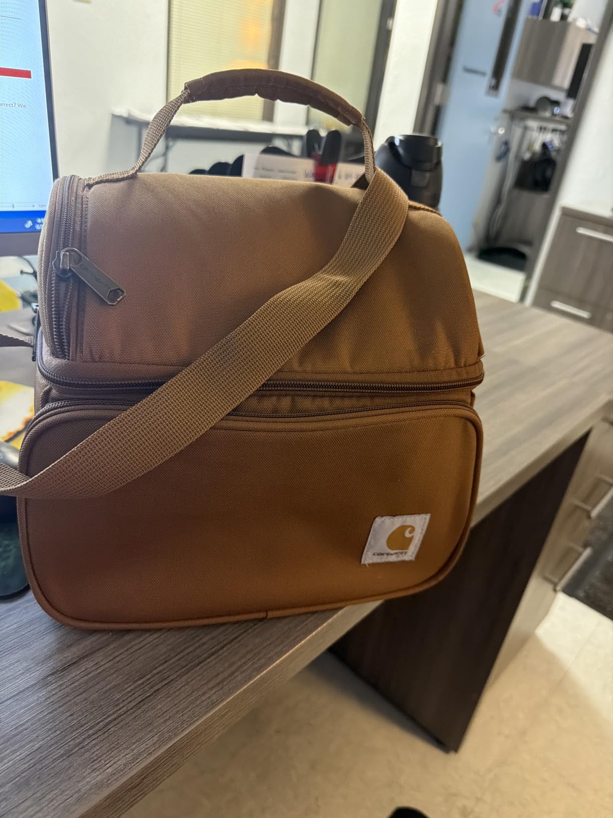 Carhartt Camping Cooler, Worksite Lunch Box, Soft Shell Lunch Bag for Construction Sites, Work and Everyday Use, Brown customer photo 2