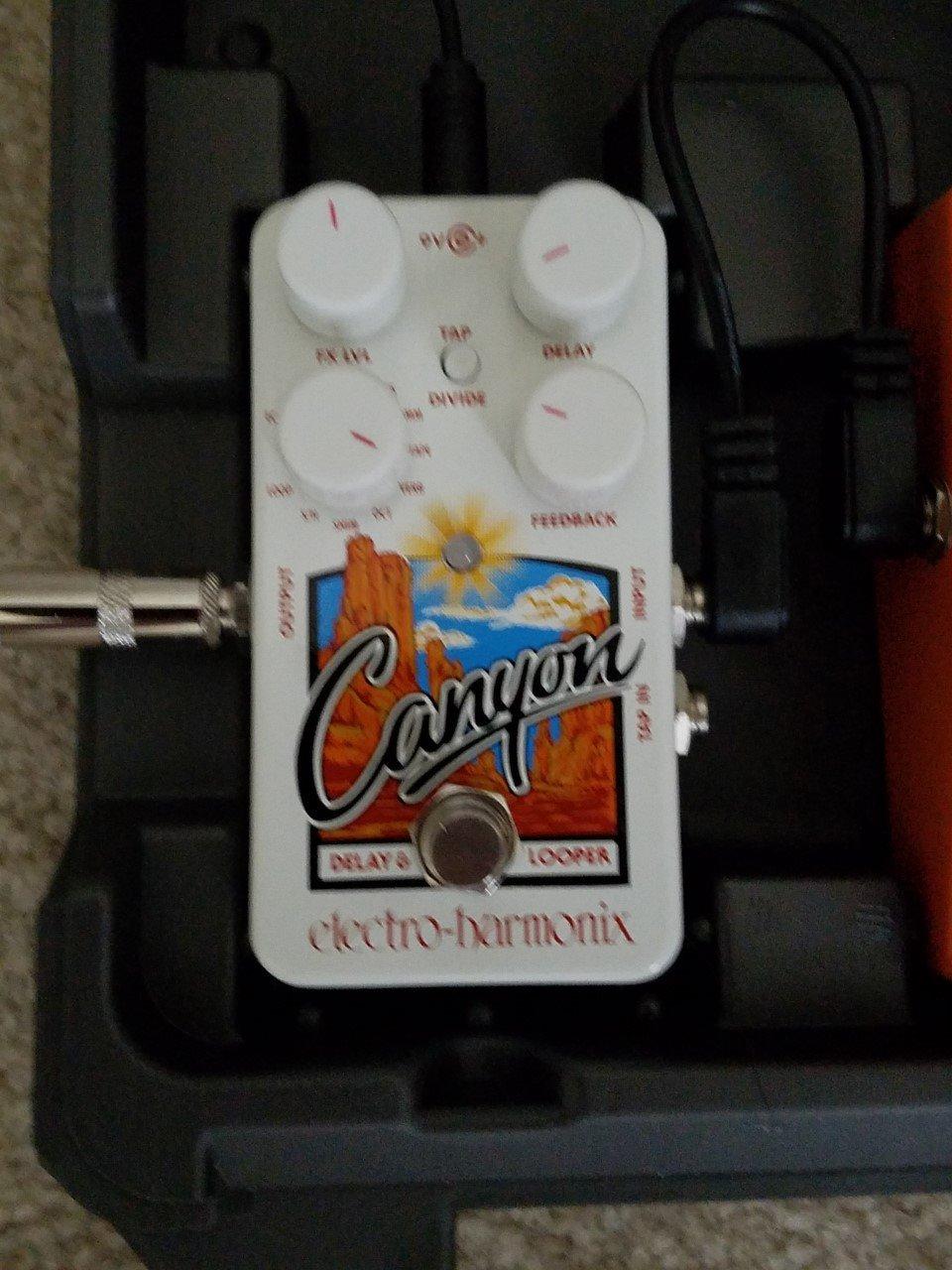 Electro-Harmonix Canyon Delay & Looper Pedal customer photo 1