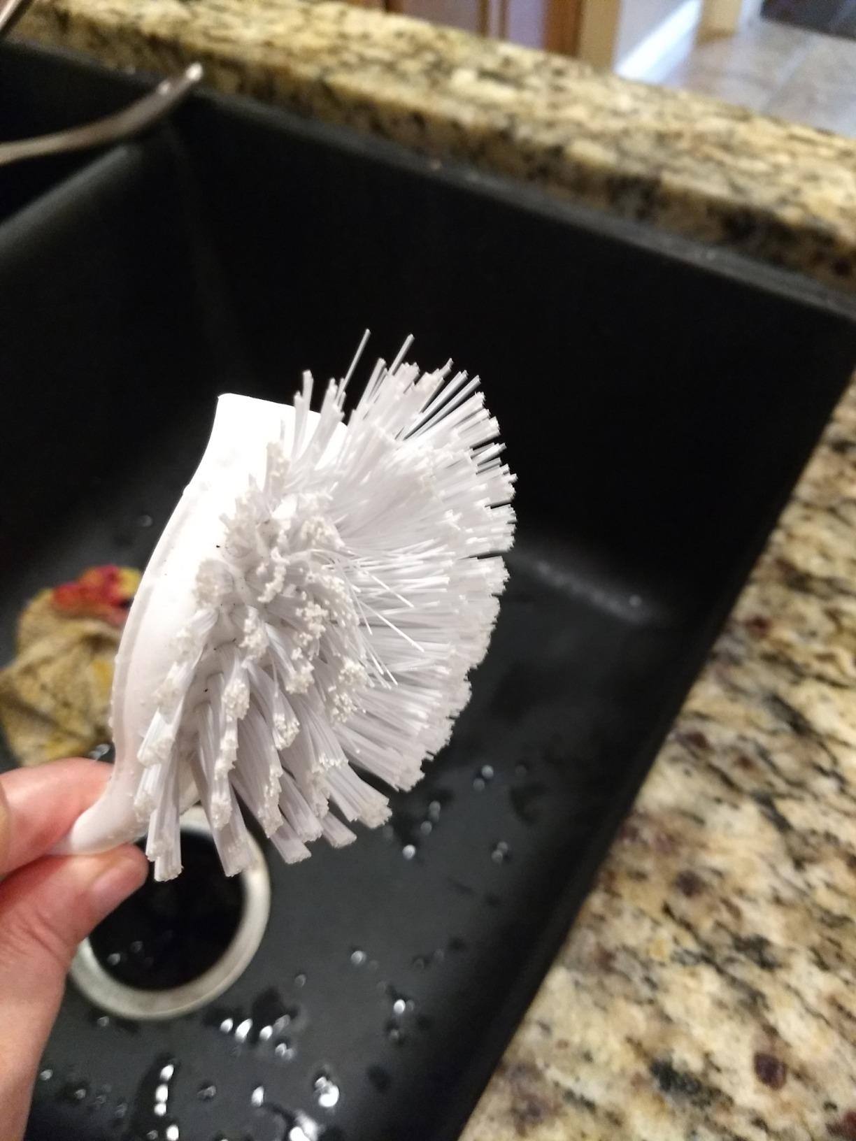 Amazer Dish Brush with Handle, 2 Pack Kitchen Scrub Brushes for Cleaning, Dish Scrubber with Stiff Bristles for Sink, Pots, Pans customer photo 2