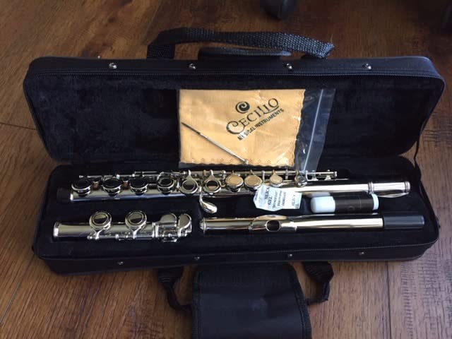 Mendini by Cecilio 16 Keys Closed Hole C Flute Kit for Beginners - Nickel customer photo 2