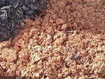 Liquid Soil Loosener- Soil Conditioner-Use alone or when Aerating with Mechanical Aerator or Core Aeration- Simple Lawn Solutions- Any Grass Type-Great for Compact Soils, Standing water, Poor Drainage customer photo 1