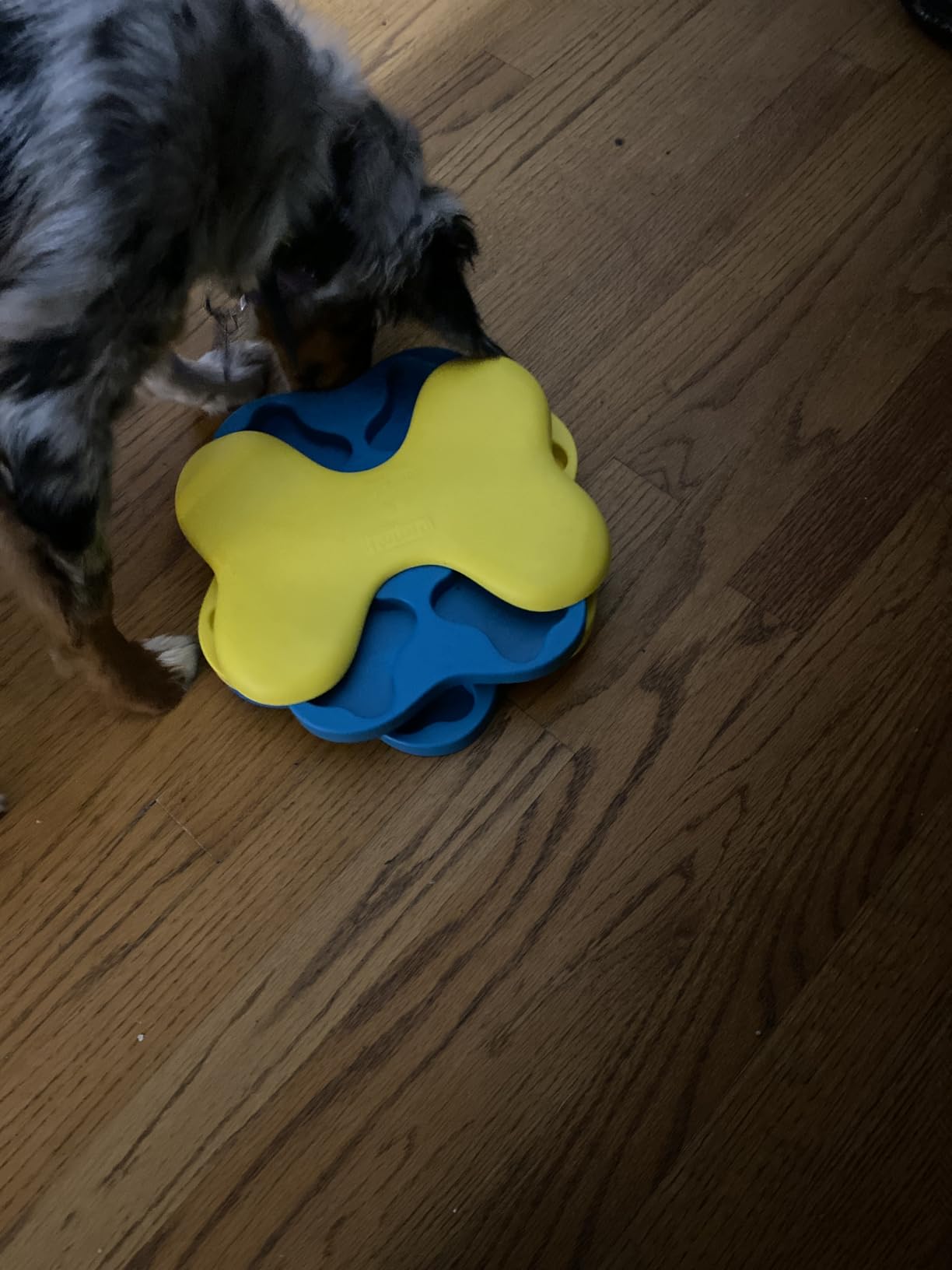 Outward Hound Nina Ottosson Dog Tornado Dog Toy Treat Puzzle, 9.8