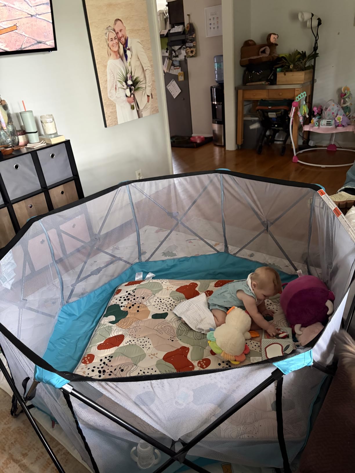 Regalo Safety My Play Deluxe Extra Large Baby Playpen & Portable Play Yard, Foldable 8-Panel Indoor Outdoor Playpen for Babies & Toddlers, Mesh Sides, Washable Nylon Bottom, 62