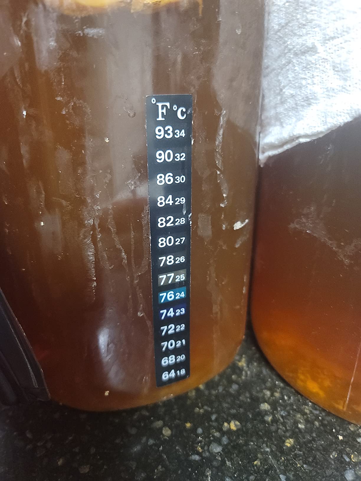 3 Pack Fermentation Adhesive Strip Thermometer - Displays Temperature in Degrees Celsius & Fahrenheit - Great for Kombucha, Beer, Wine, Vegetable Fermentation (Standard, 64 to 93, Degrees Fahrenheit) customer photo 1