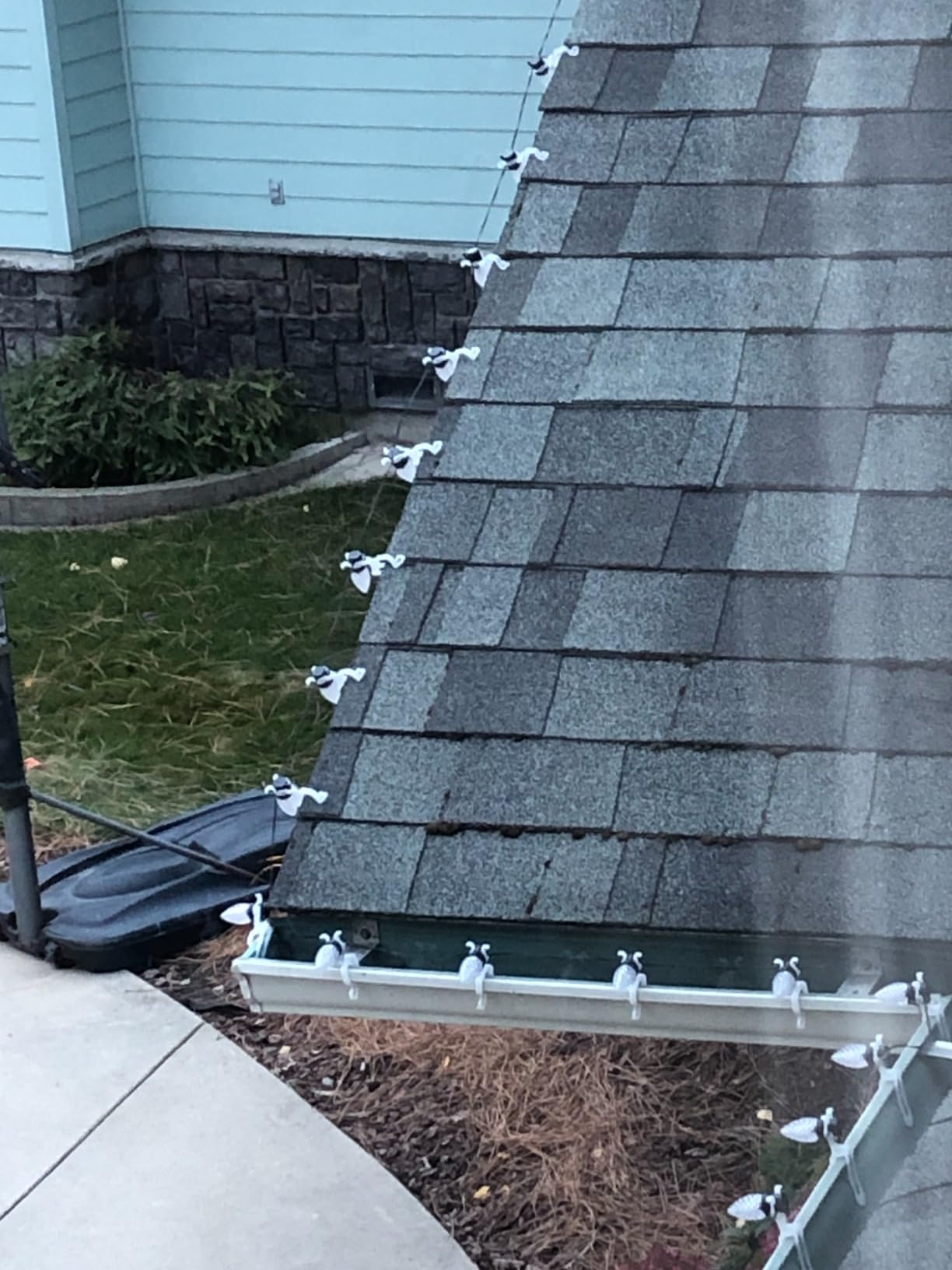 Christmas Light Clips, Shingle Gutter Clips for C7 C9 Lights, 100 Pack customer photo 2
