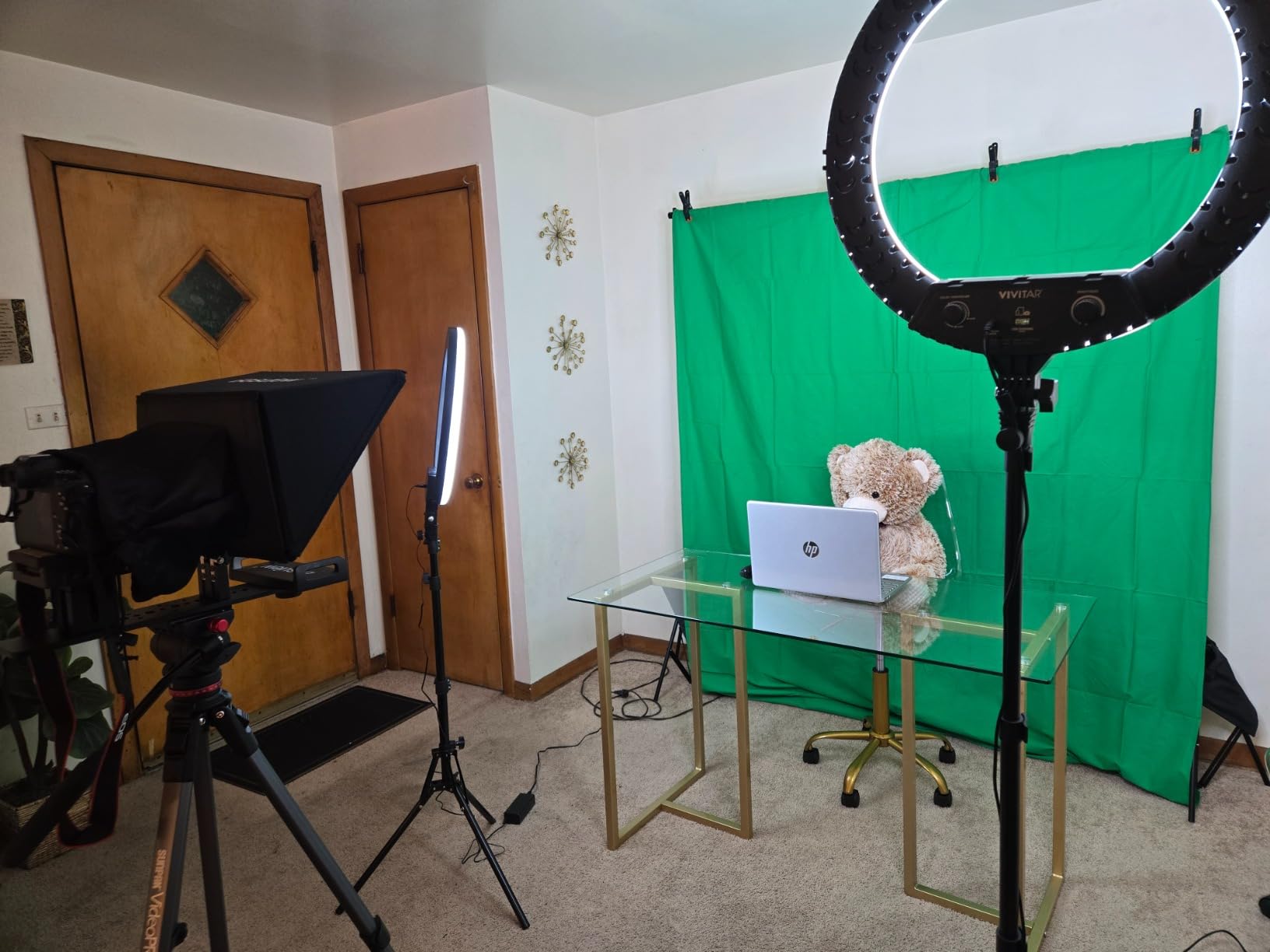 EMART Green Screen Backdrop Kit, 8.5x10FT Stand with 10x12FT Backdrop customer photo 1