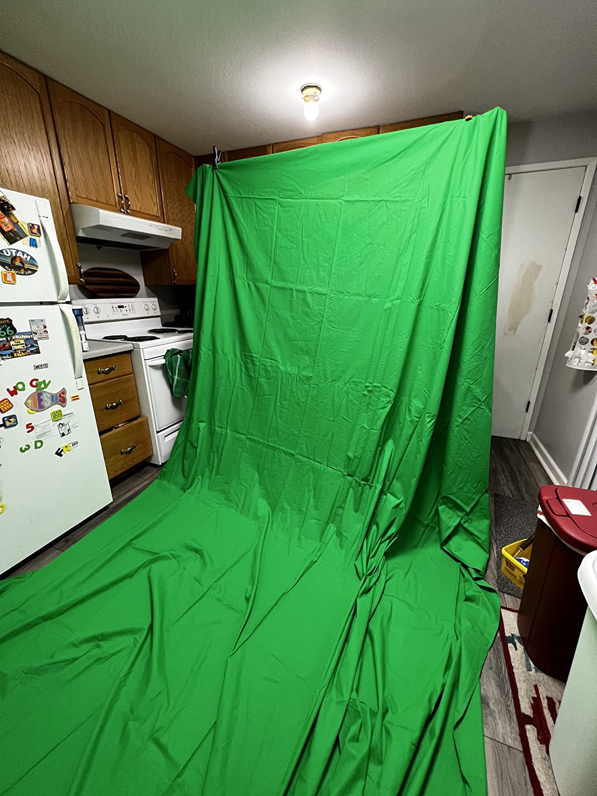 EMART Green Screen Backdrop Kit, 8.5x10FT Stand with 10x12FT Backdrop customer photo 2