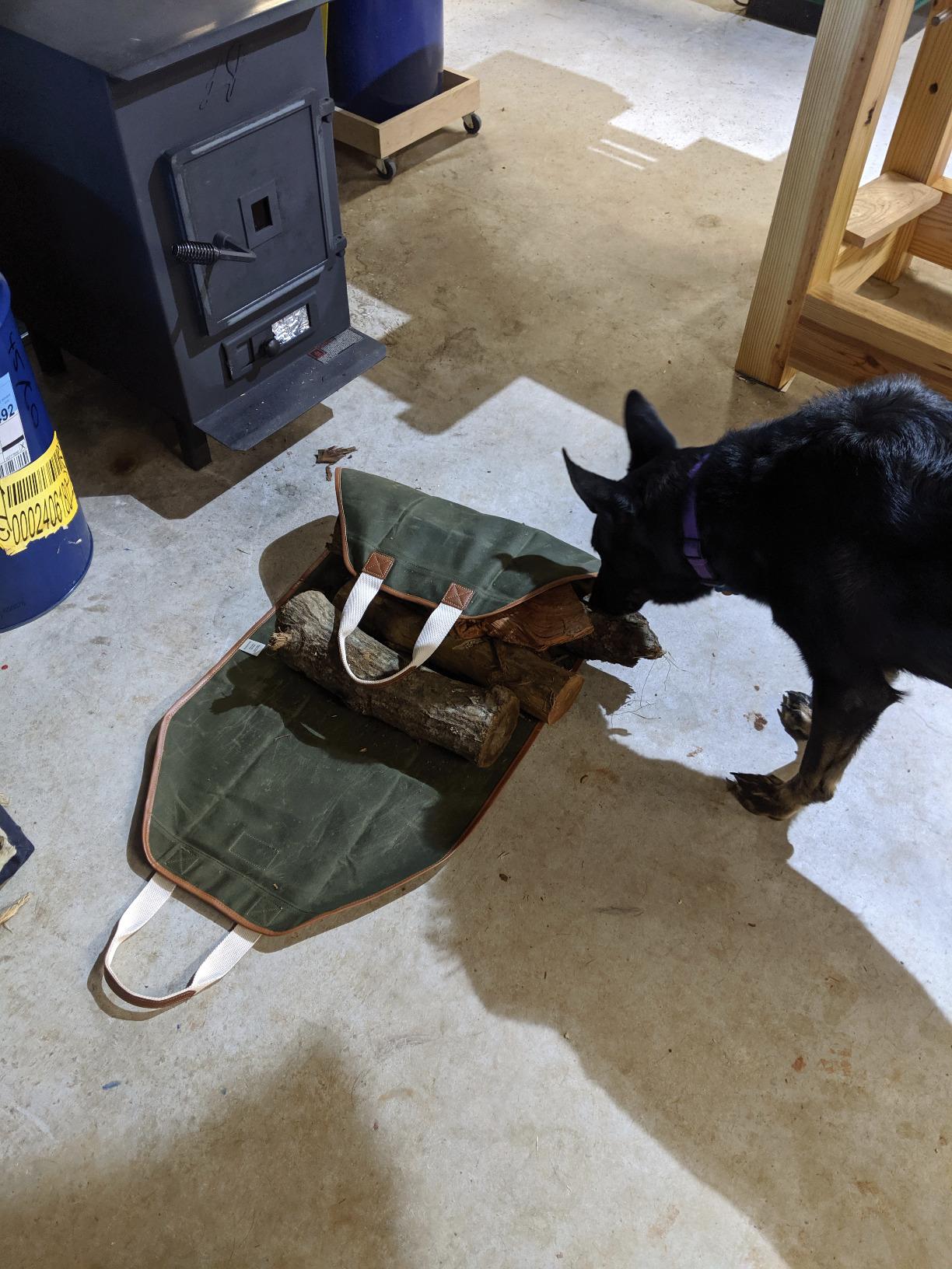 INNO STAGE Waxed Canvas Wood Carrier for Firewood, 44
