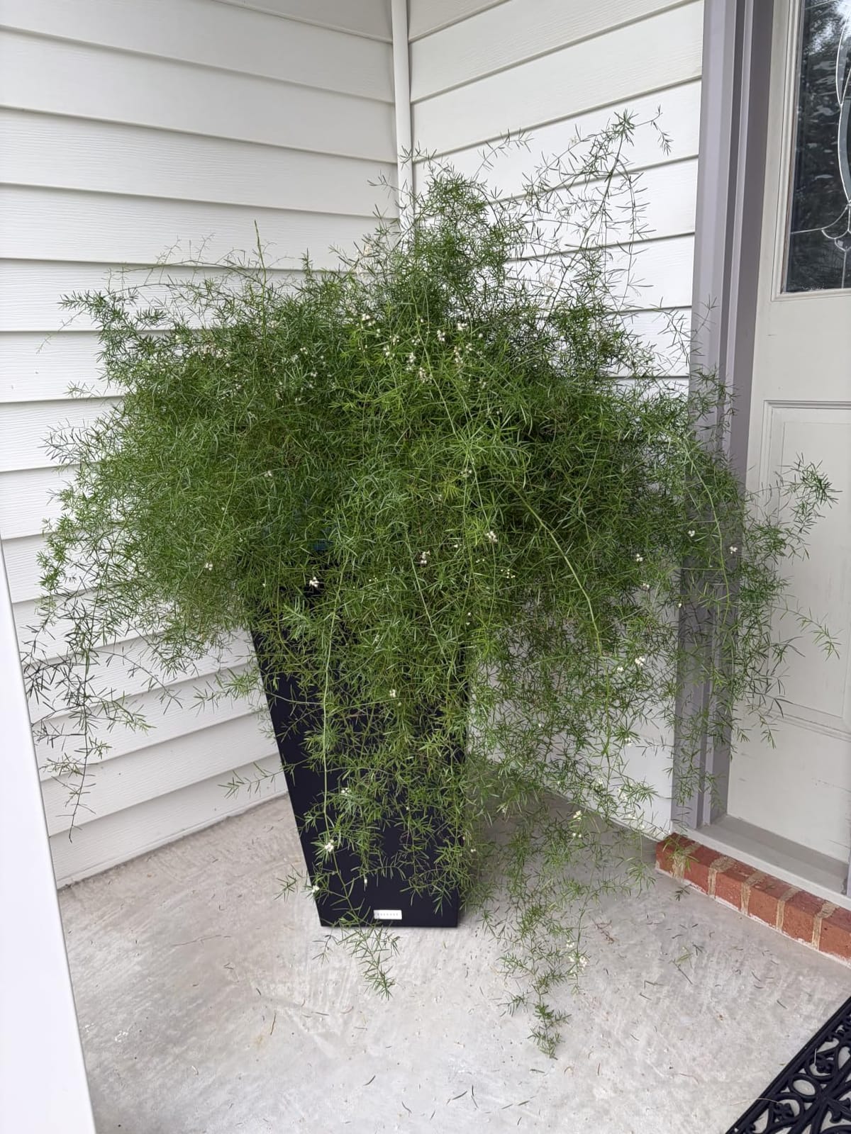 Veradek Pure Series Taper Planter - Tall Tapered Outdoor Planter with Shelf customer photo 1