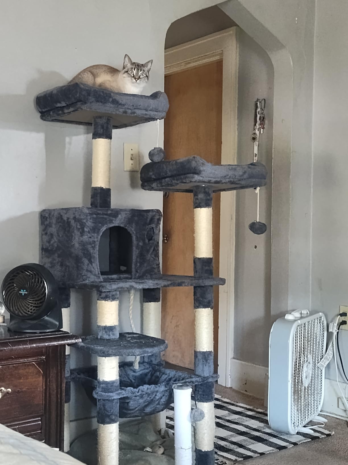 Feandrea Cat Tree, 55.8-Inch Large Cat Tower, Multi-Level Condo, Light Gray customer photo 2