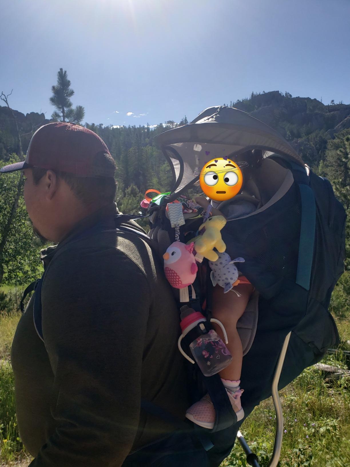 Kelty Journey Signature Child Carrier Backpack, Perfectfit Adjustable Suspension for Moms and Dads, 5 Point Safety Harness, Sunshade SPF Protection, Easy to Clean customer photo 2