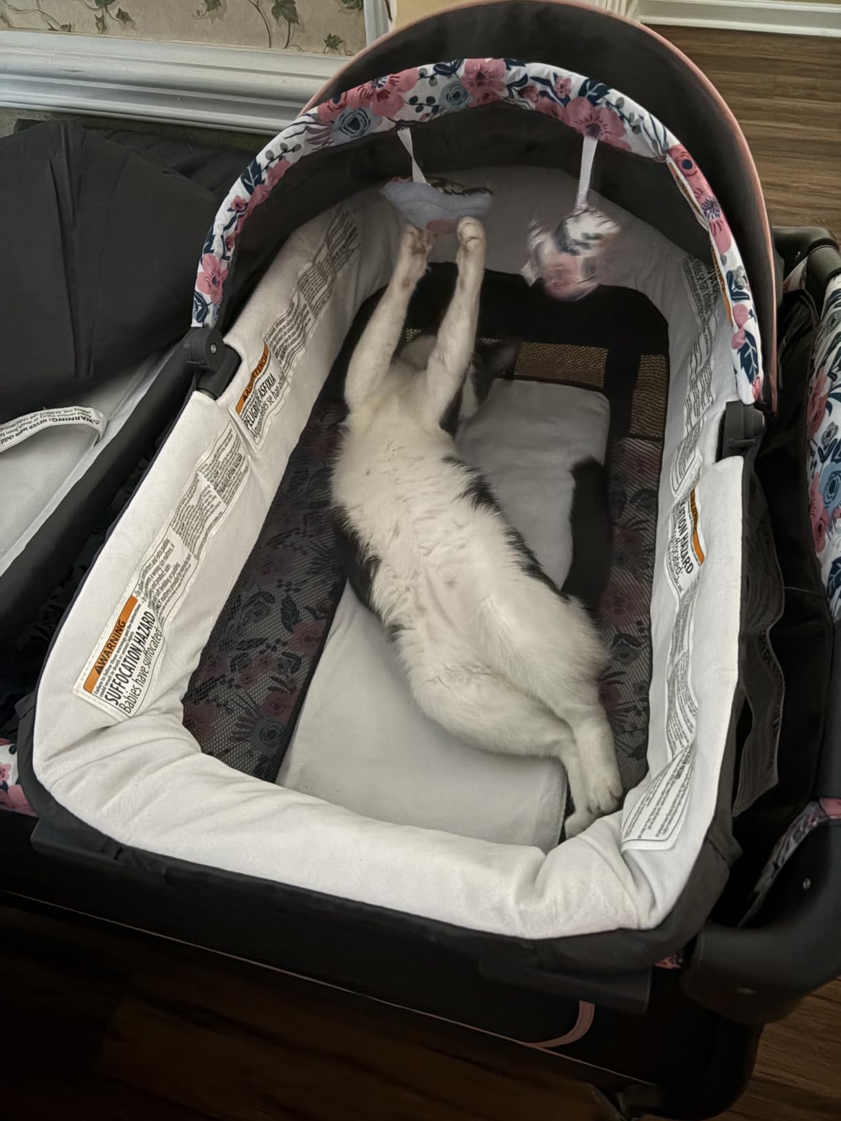 Baby Trend Lil' Snooze Deluxe II Nursery Center, Twinkle Twinkle Little Moon customer photo 2