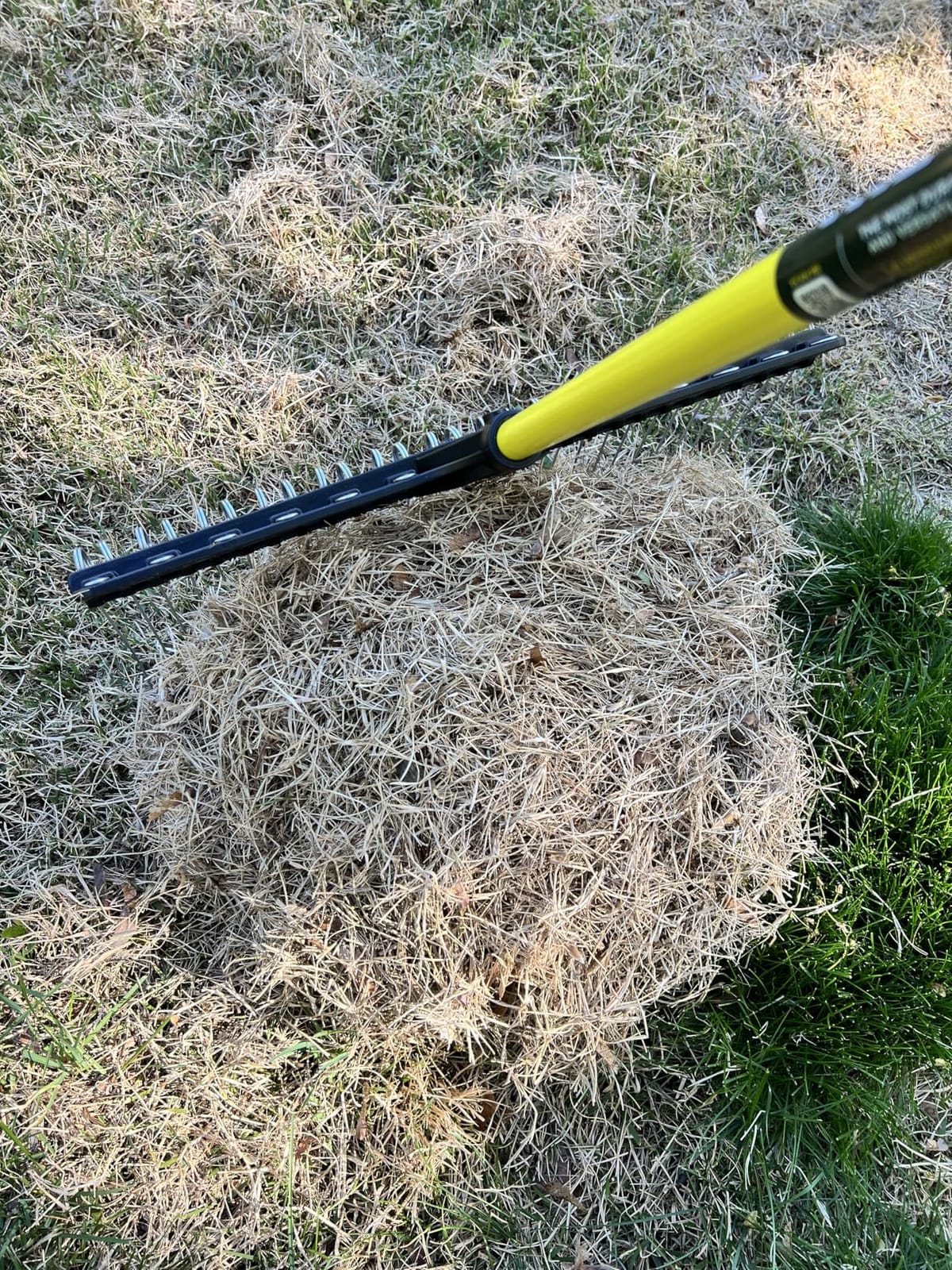 THE GROUNDSKEEPER II Rake 55-inch Lightweight Fiberglass Handle, 21-inch Head, Durable Steel Tines for Gardening, De-Thatching or Professional Landscaping customer photo 1