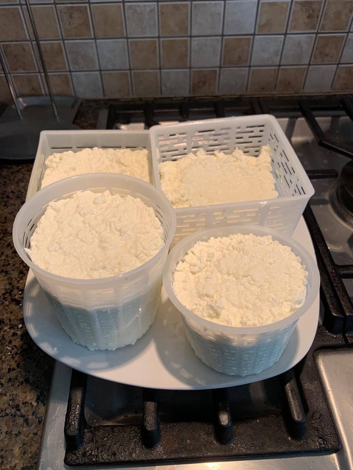 Cheesemaking Molds - Ricotta Cheese Draining Baskets for Home Cheese making Made in Italy customer photo 2