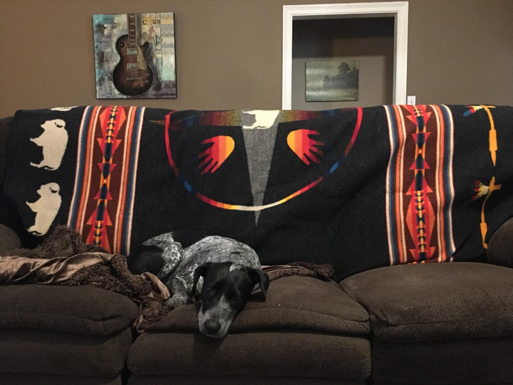 Pendleton Jacquard Napped Throw Blanket 64