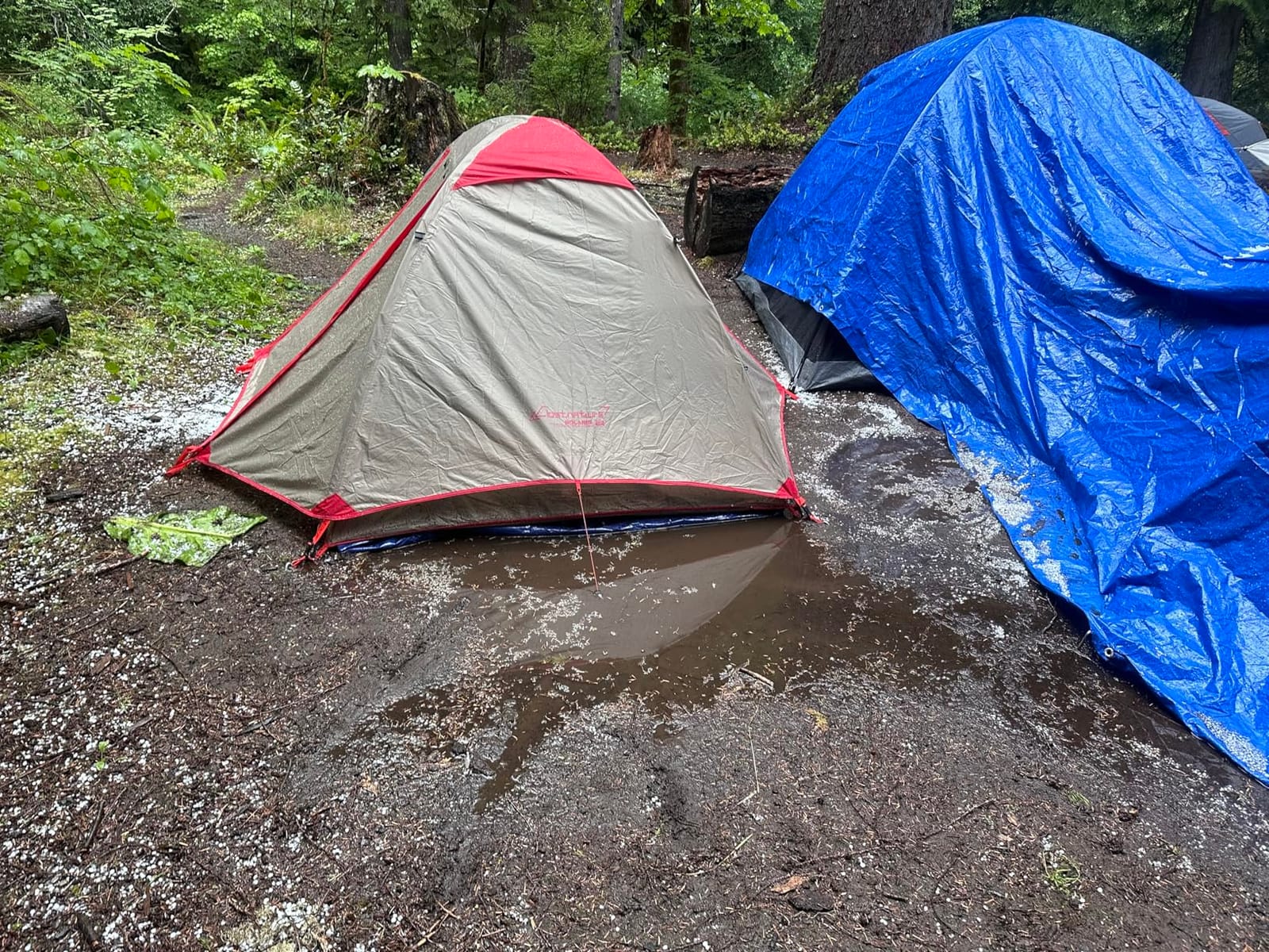Clostnature 1/1.5/2/3/4/6 Person Lightweight Backpacking Tent, Camping Tent customer photo 1