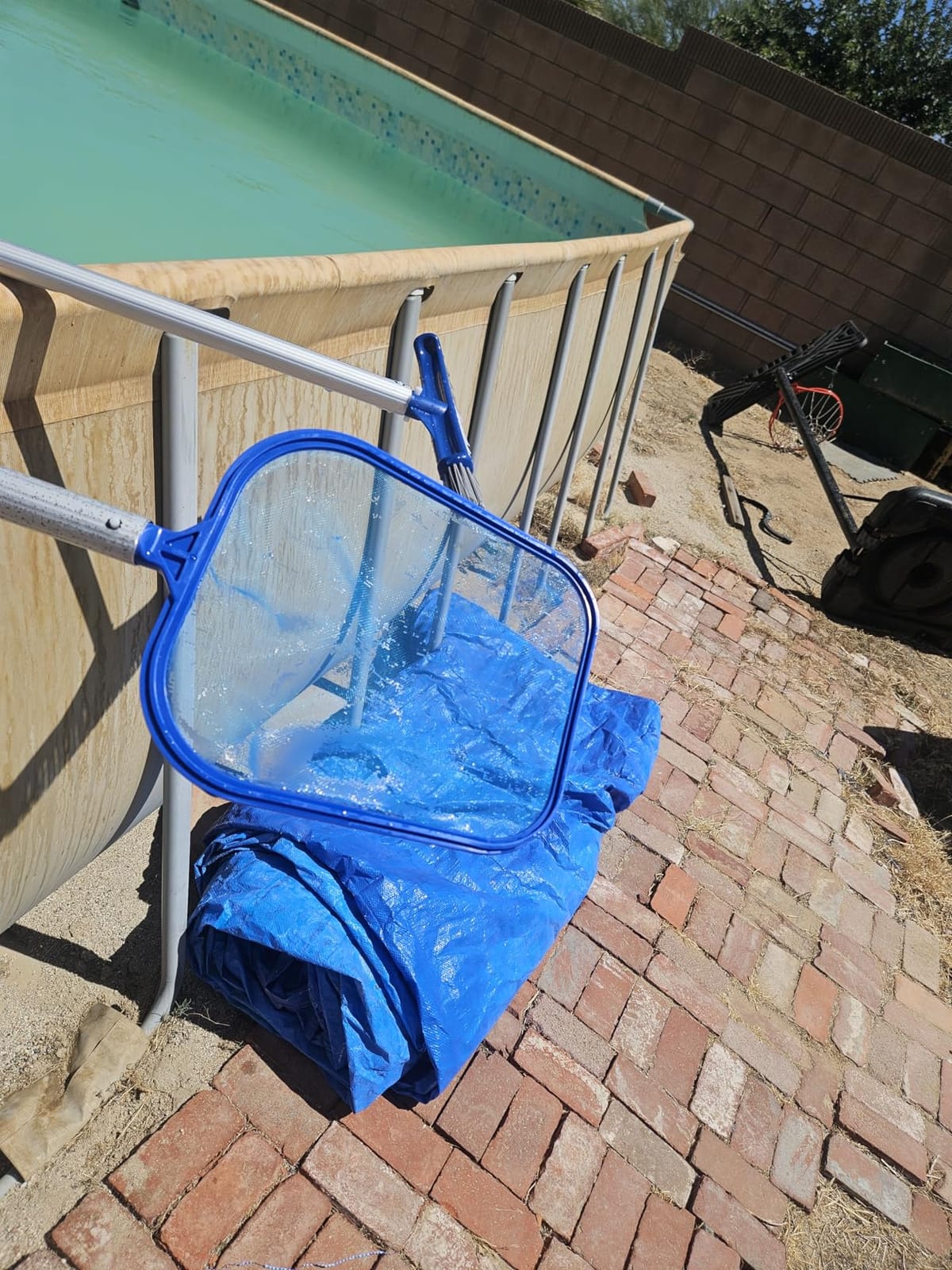 Sunnyglade 17.5x11.8in Swimming Pool Cleaner Supplies Pool Net Skimmer customer photo 1