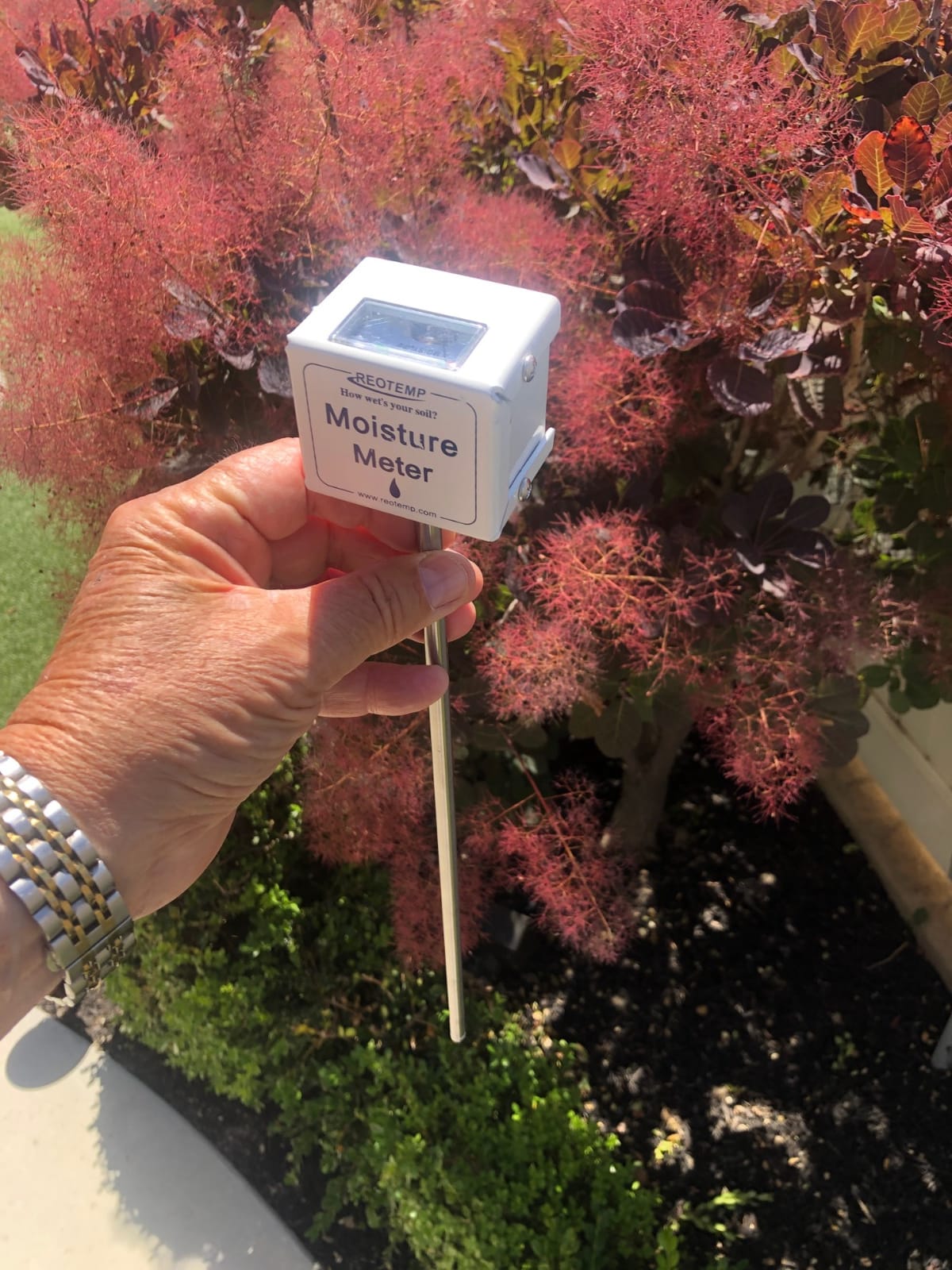 Reotemp 15 Inch Garden and Compost Moisture Meter, Garden Tool Ideal for Soil, Plant, Farm and Lawn Moisture Testing customer photo 1