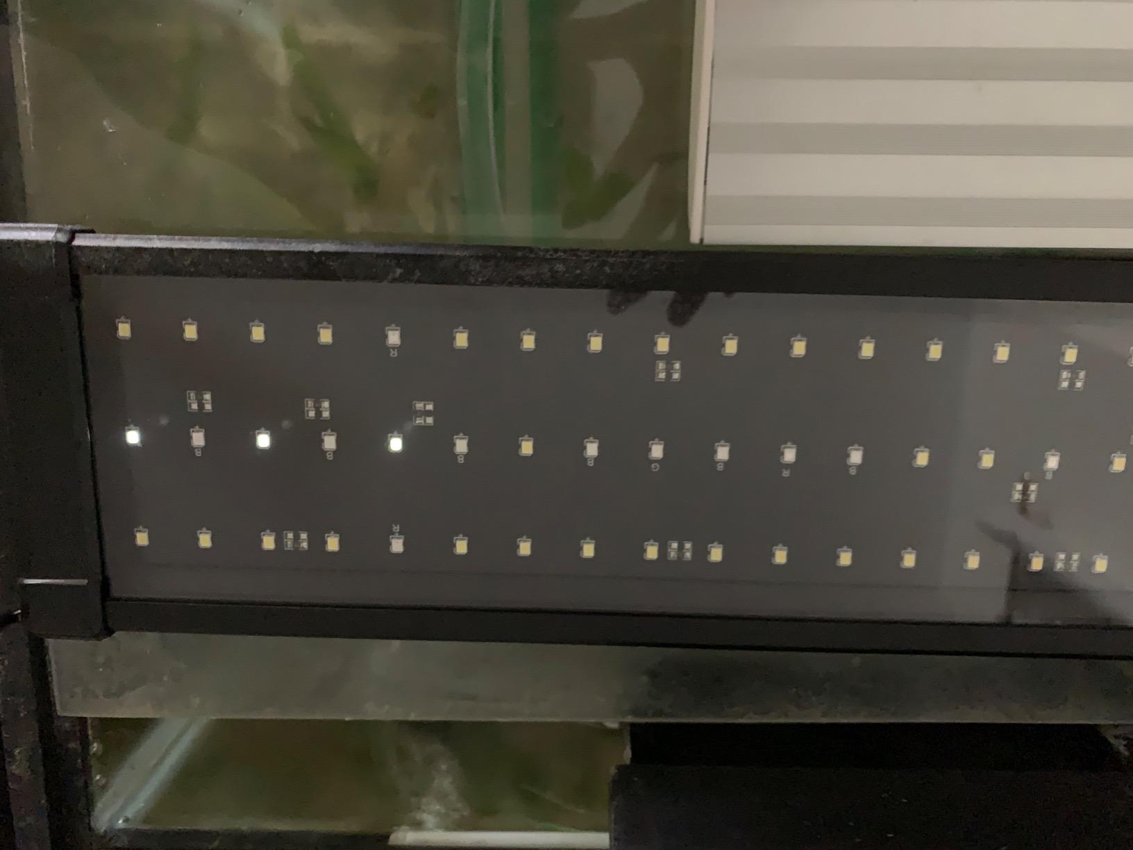 NICREW ClassicLED Plus LED Aquarium Light, 21W, for 30 to 36 Inch Fish Tank | Natural Full Spectrum Lighting, Sunrise & Sunset Simulation, CRI 91 Color Rendering, Customizable Lighting Schedule customer photo 2