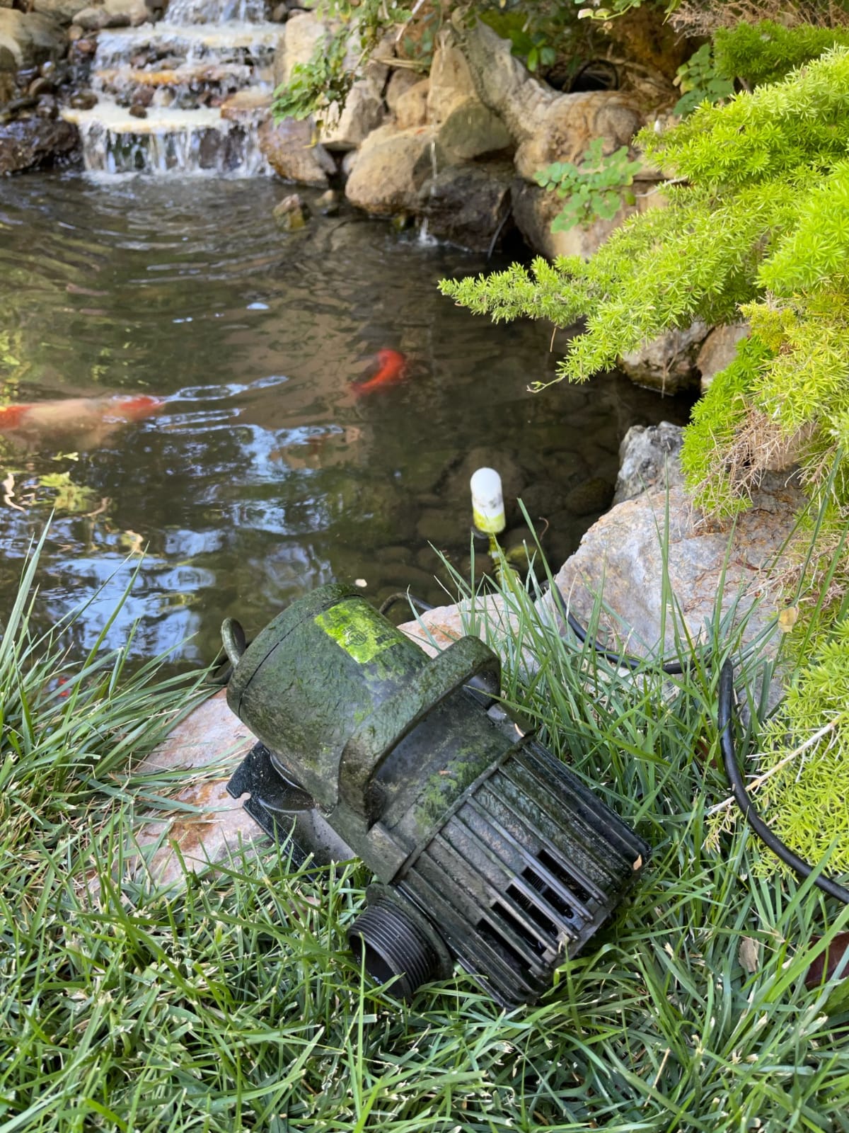 VIVOSUN 4500GPH Sub Water Pump for Pond Waterfall, Statuary, Hydroponics | 220W Pond Pump, Ultra Quiet Aquarium Pump with 19FT. Lift Height for Fish Tank customer photo 2
