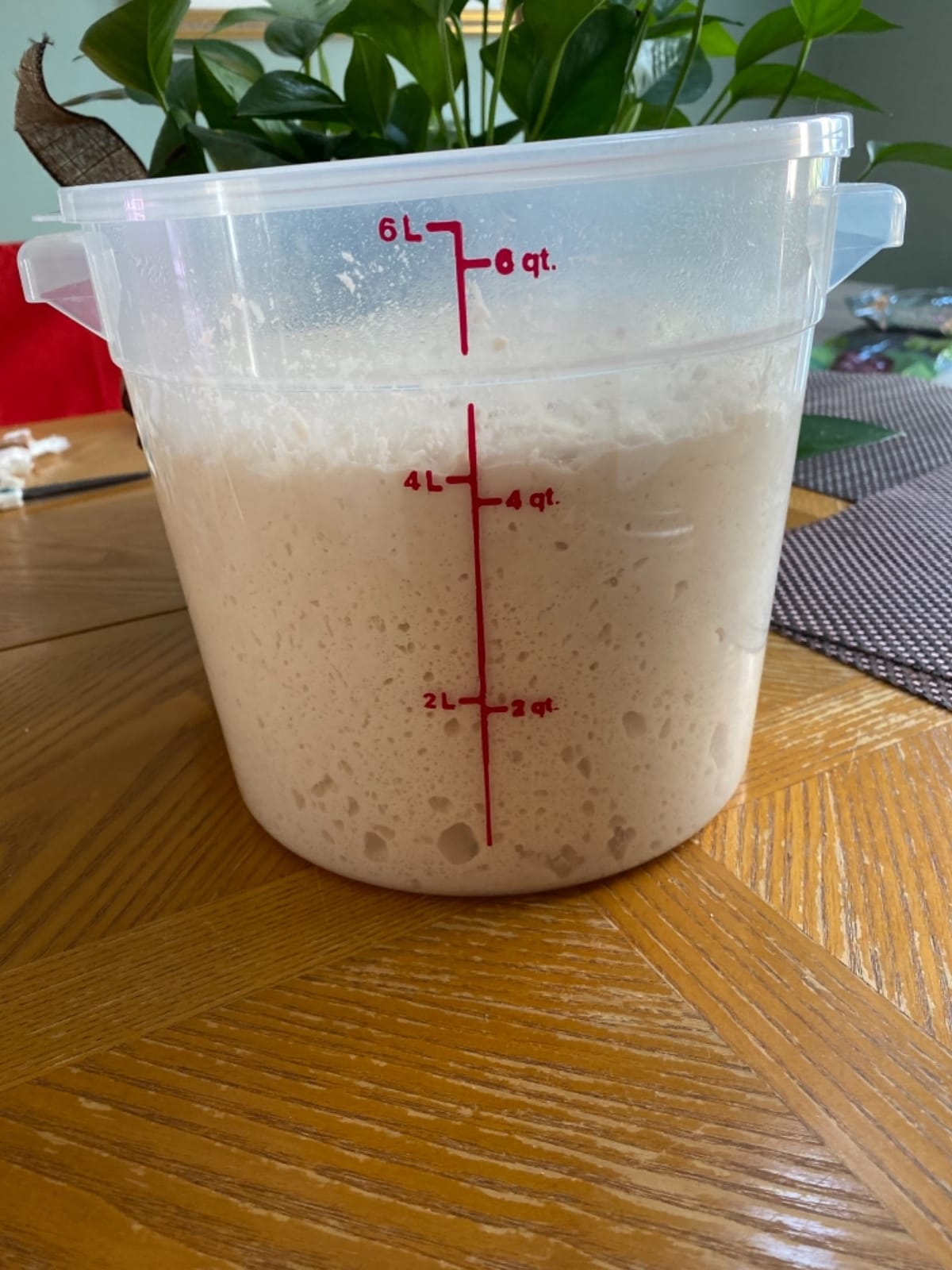 Cambro RFS6PP190 6 Qt Round Container with RFSC6PP190 Translucent Lid customer photo 2
