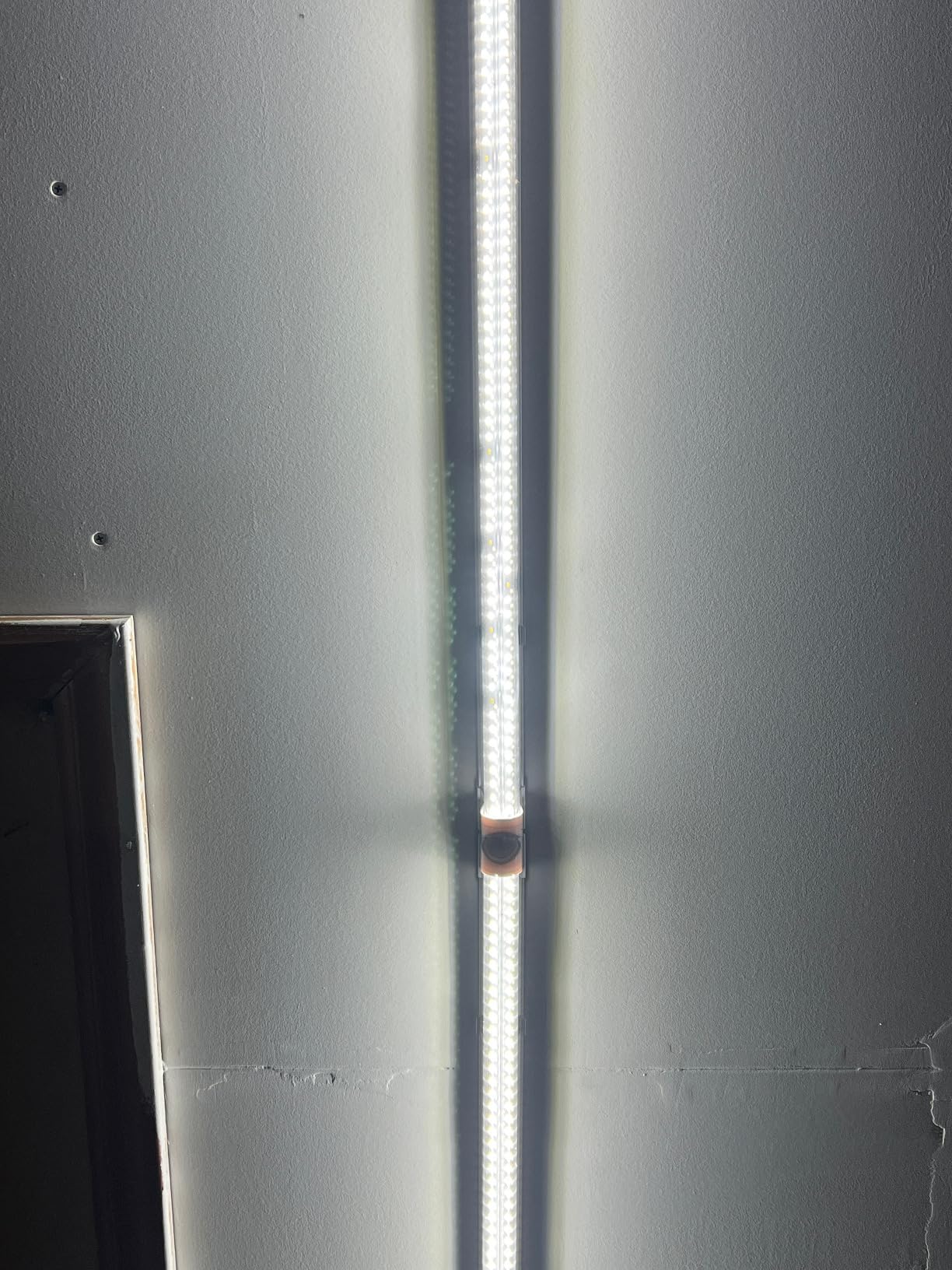Barrina T8 LED Shop Lights 4FT, 40W 5500LM 5000K, High Output Tube, 6 Packs customer photo 1