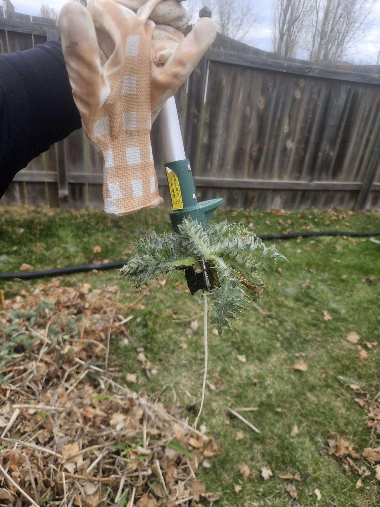 Walensee Weed Puller, Stand Up Weeder Hand Tool, Long Handle Garden Weeding Tool with 3 Claws, Hand Weed Hound Weed Puller for Dandelion, Standup Weed Root Pulling Tool and Picker, Grabber (1 Pack) customer photo 1