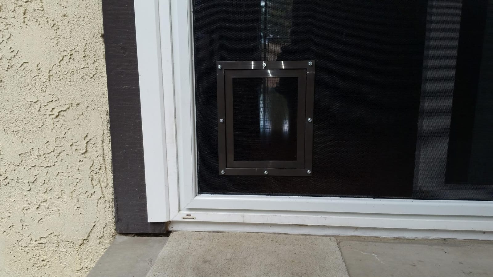 PetSafe Screen Door for Dogs & Cats, Up to 100 lb, Large customer photo 2